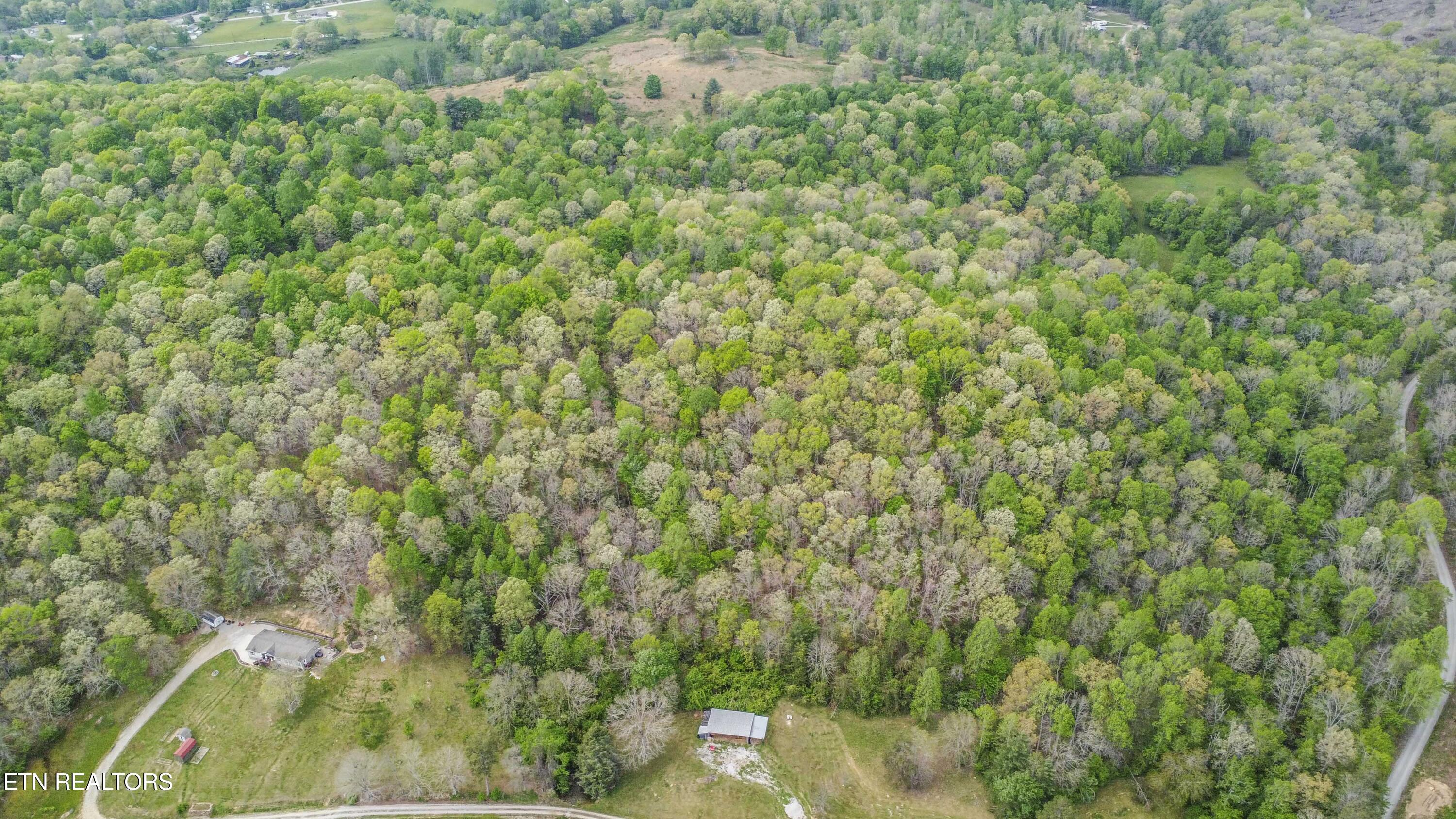 481 Piney Creek Road Rockwood TN 37854