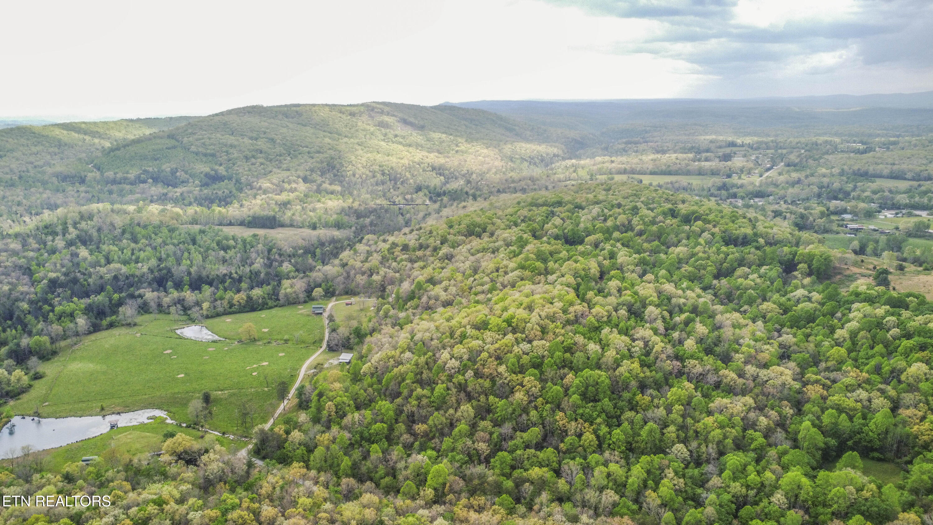 481 Piney Creek Road Rockwood TN 37854