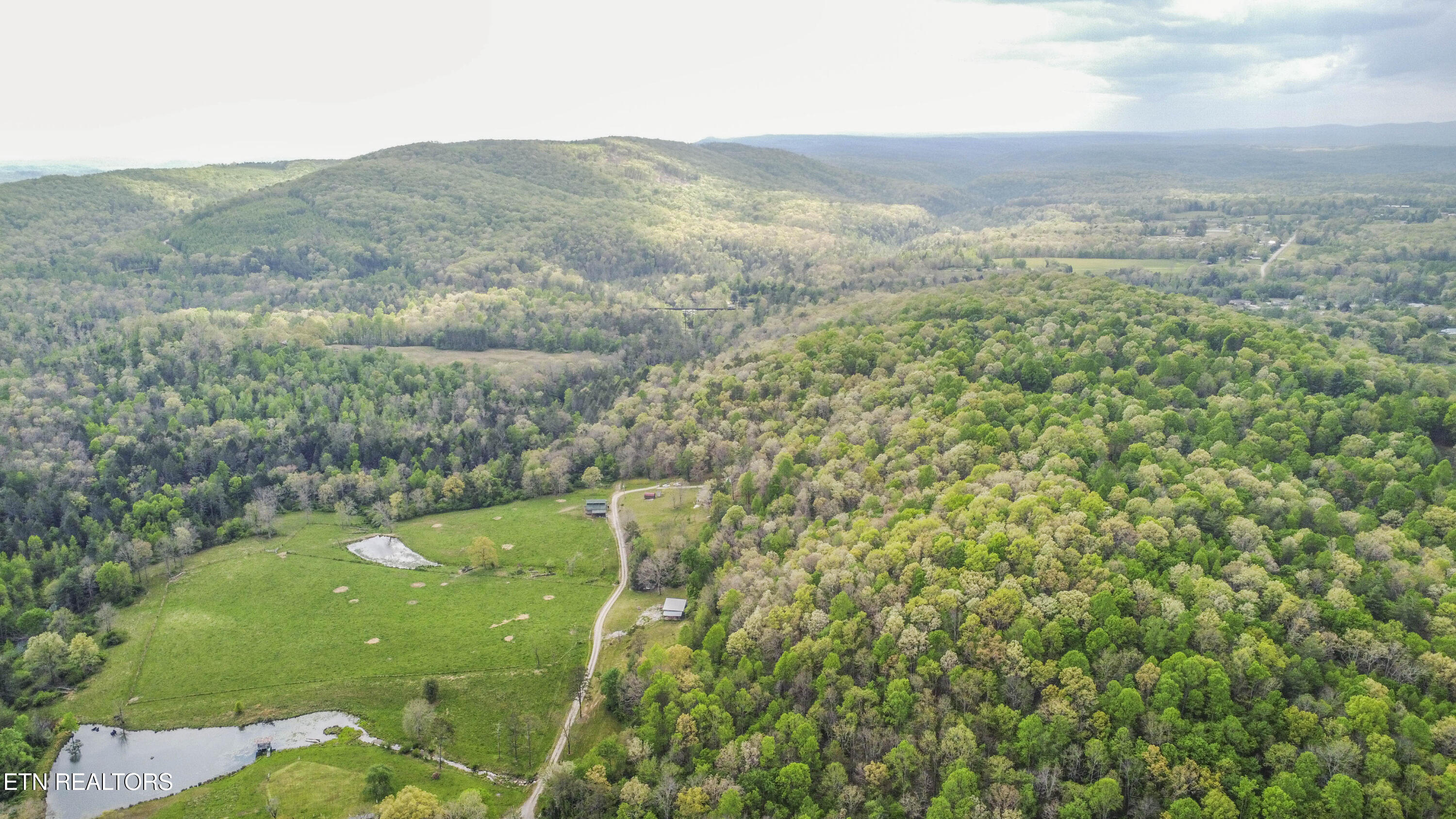 481 Piney Creek Road Rockwood TN 37854