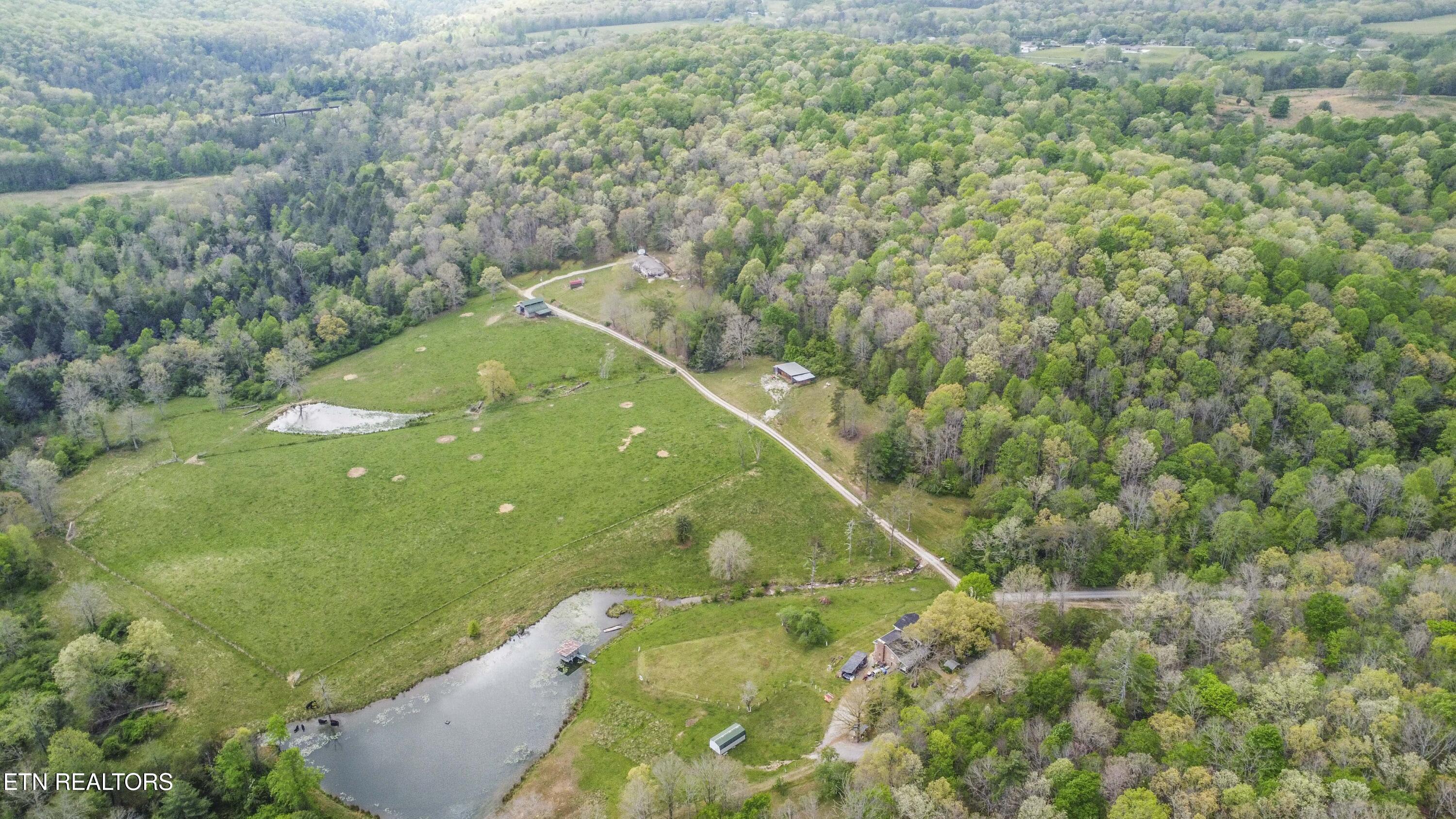 481 Piney Creek Road Rockwood TN 37854