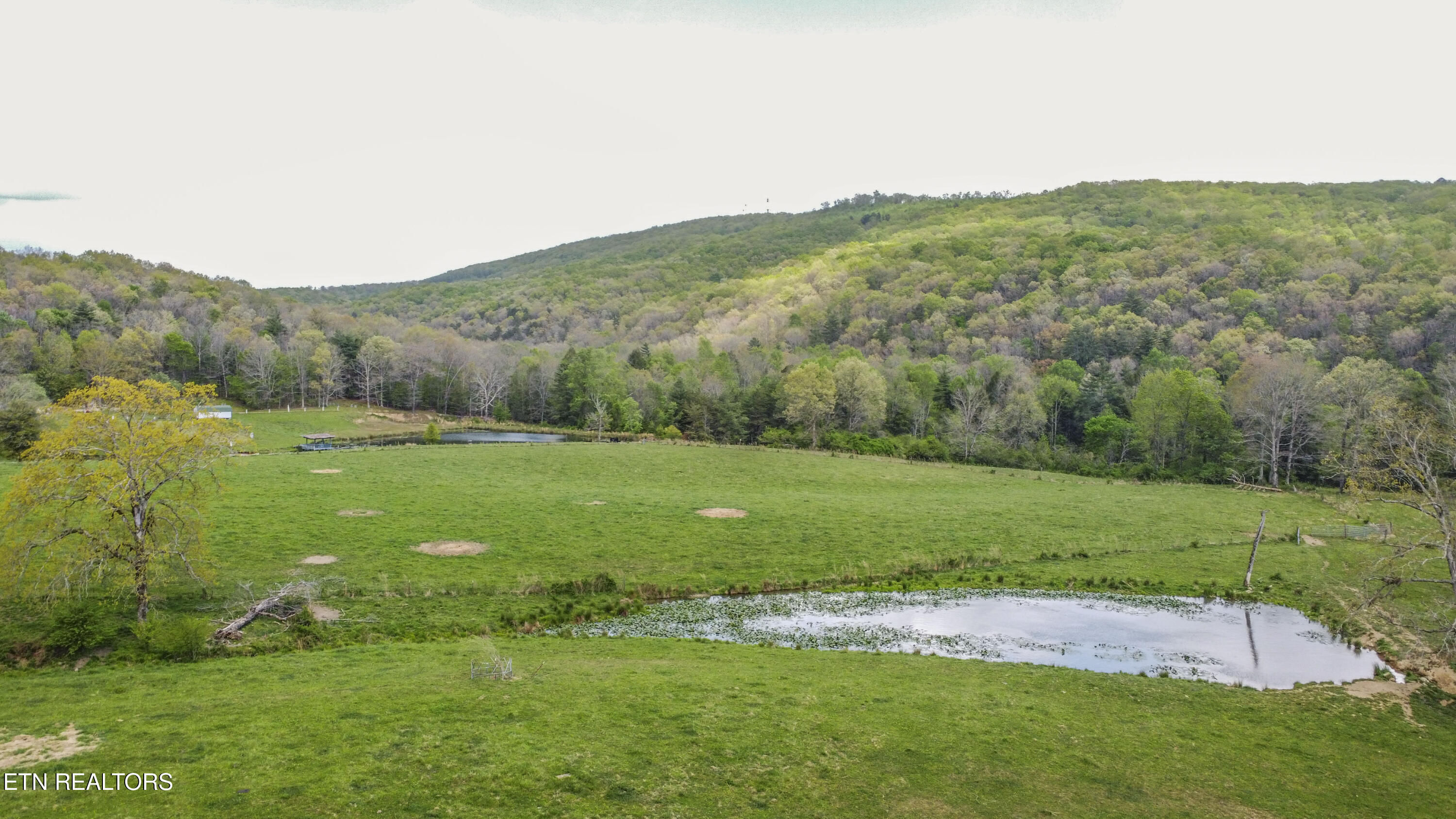 481 Piney Creek Road Rockwood TN 37854