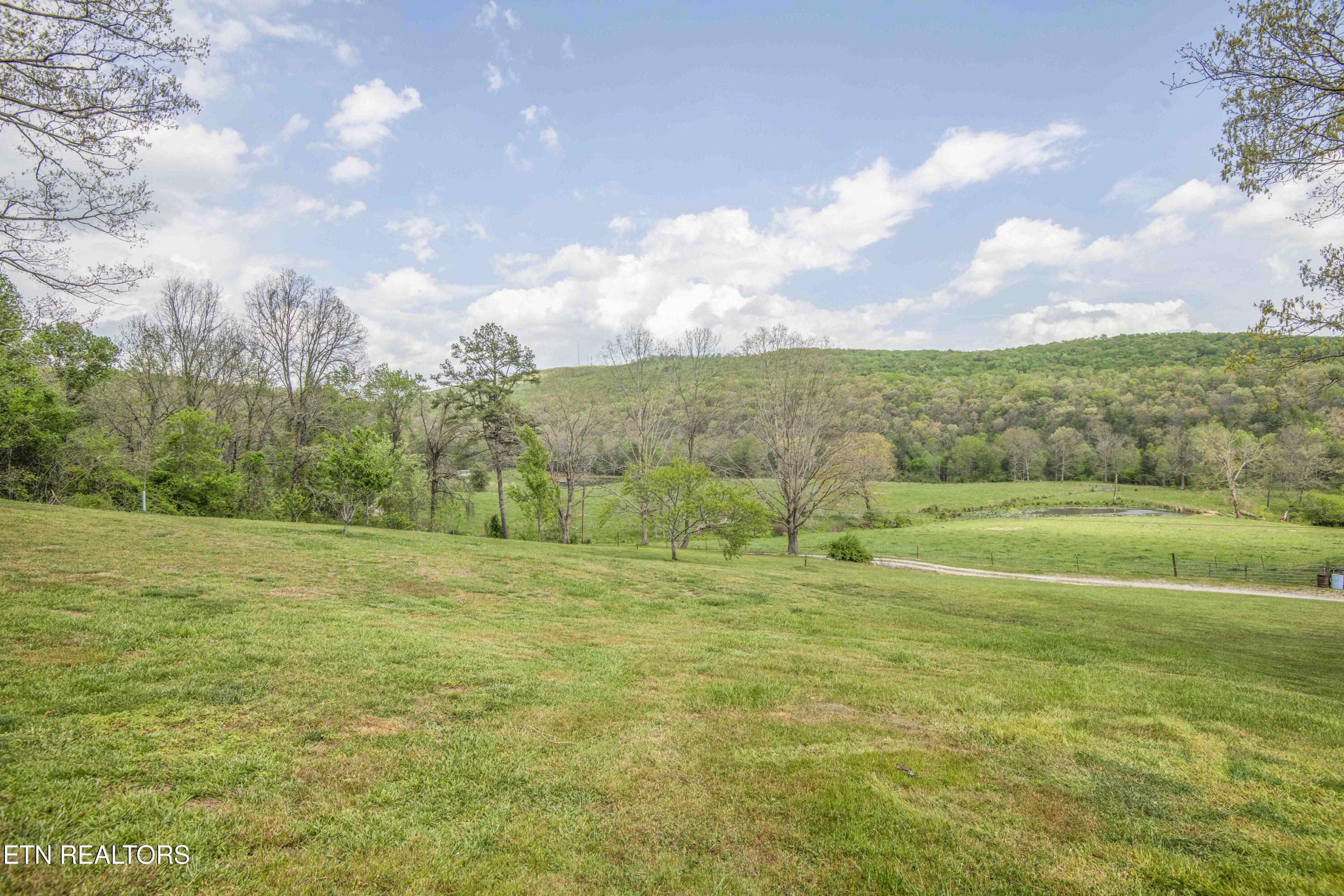 481 Piney Creek Road Rockwood TN 37854