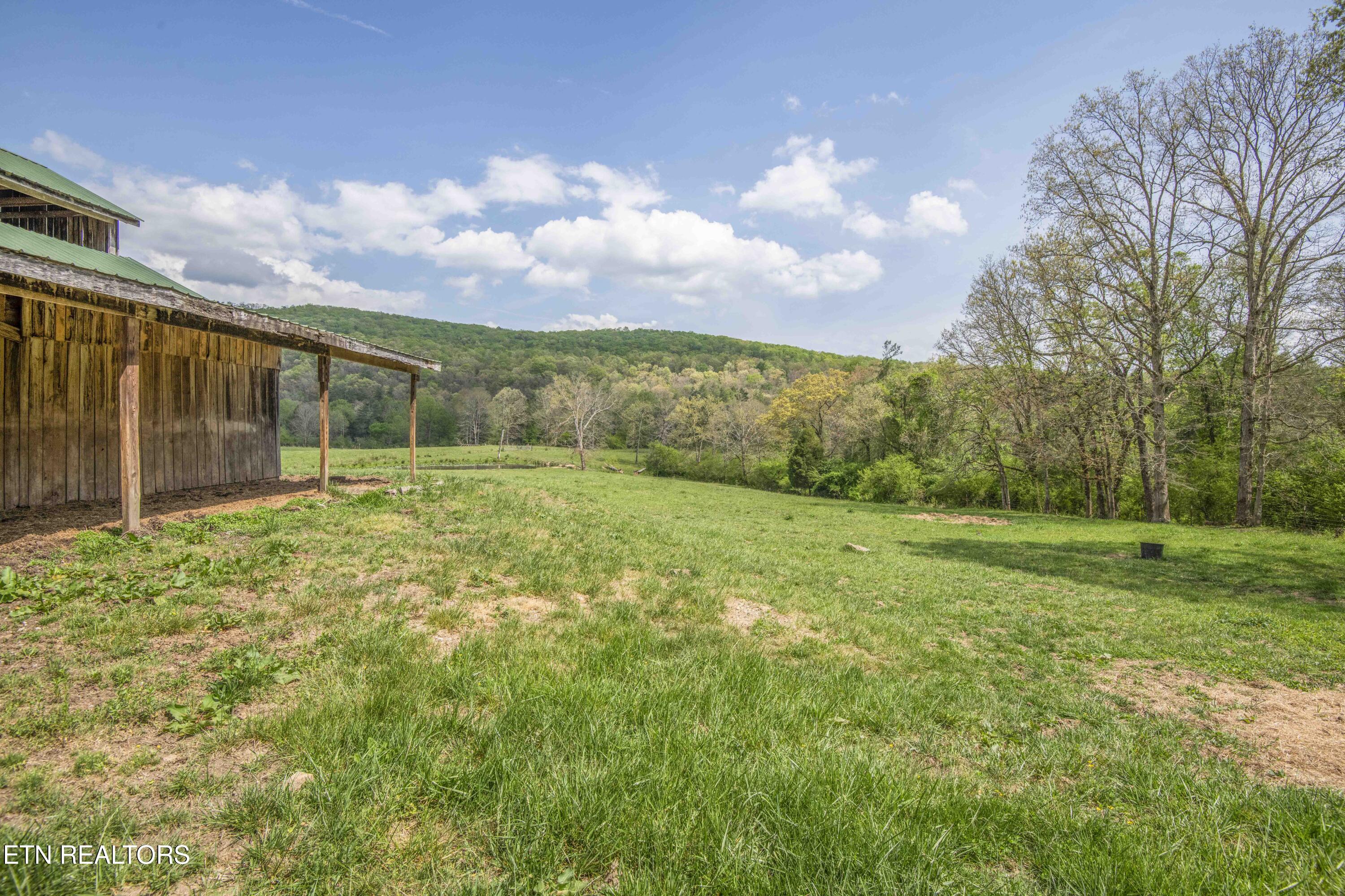 481 Piney Creek Road Rockwood TN 37854