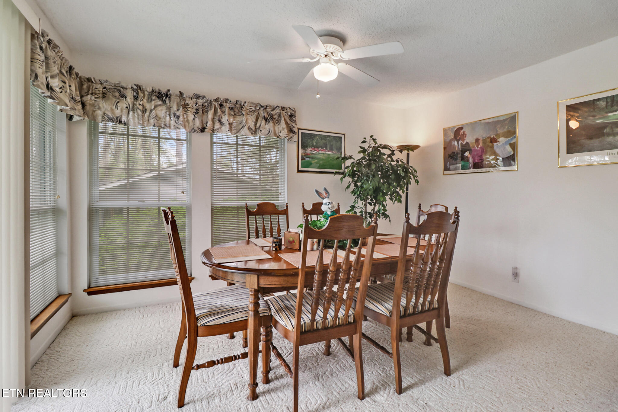 105 Lakeshire Drive Fairfield Glade TN 38558