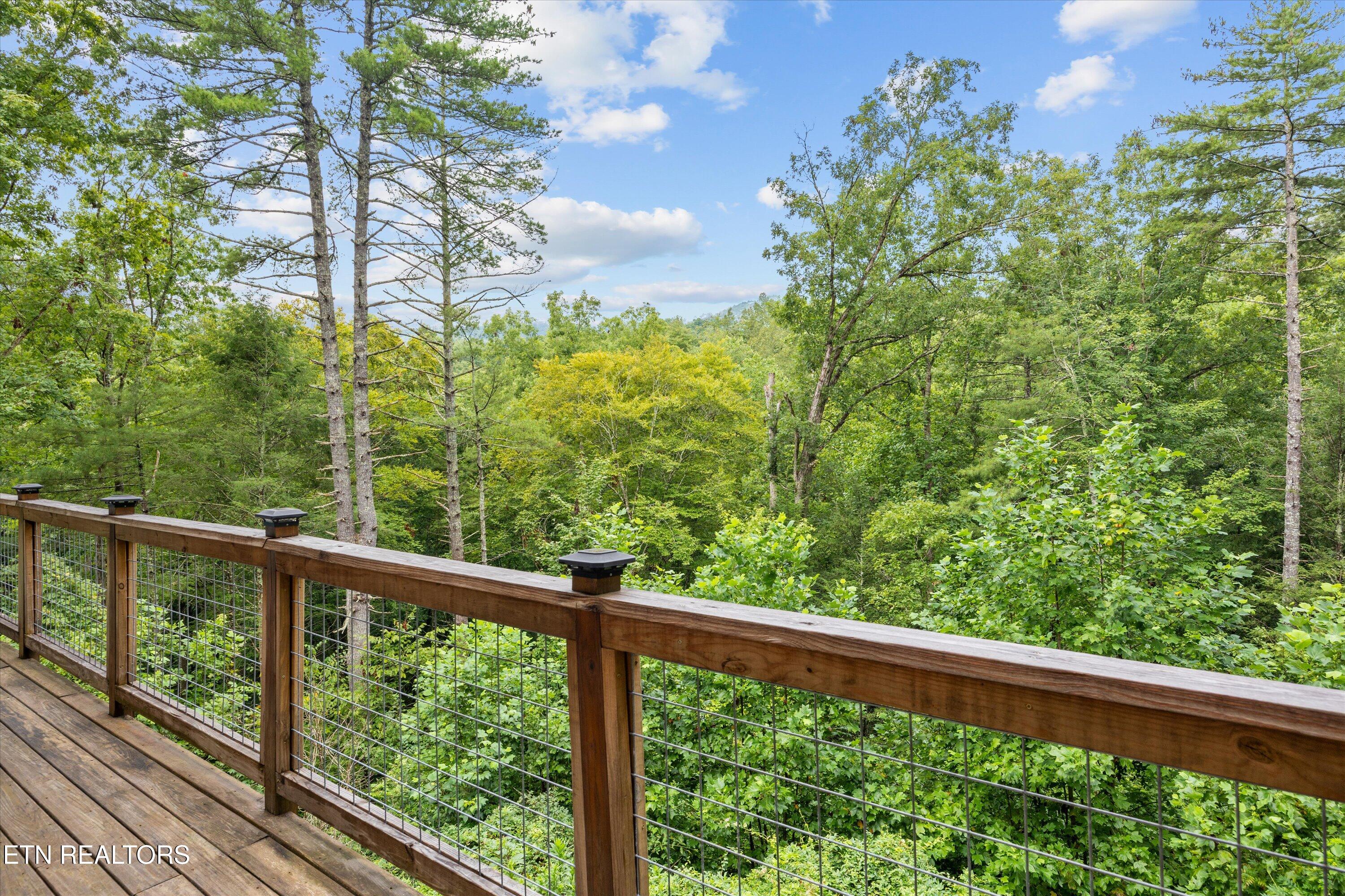 123 Cutter Gap Road Townsend TN 37882