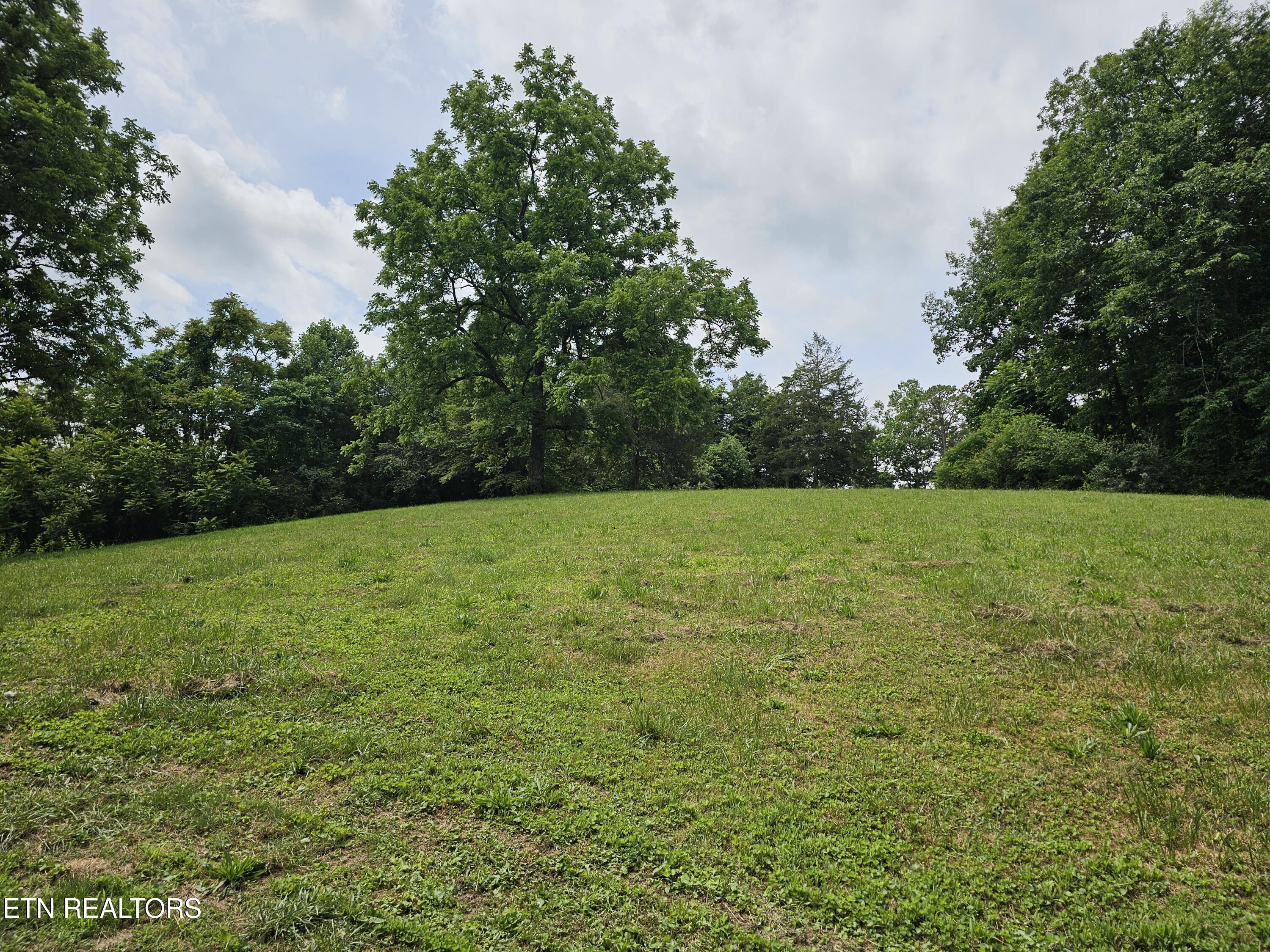 264 Old Long Hollow Road Lafollette TN 37766