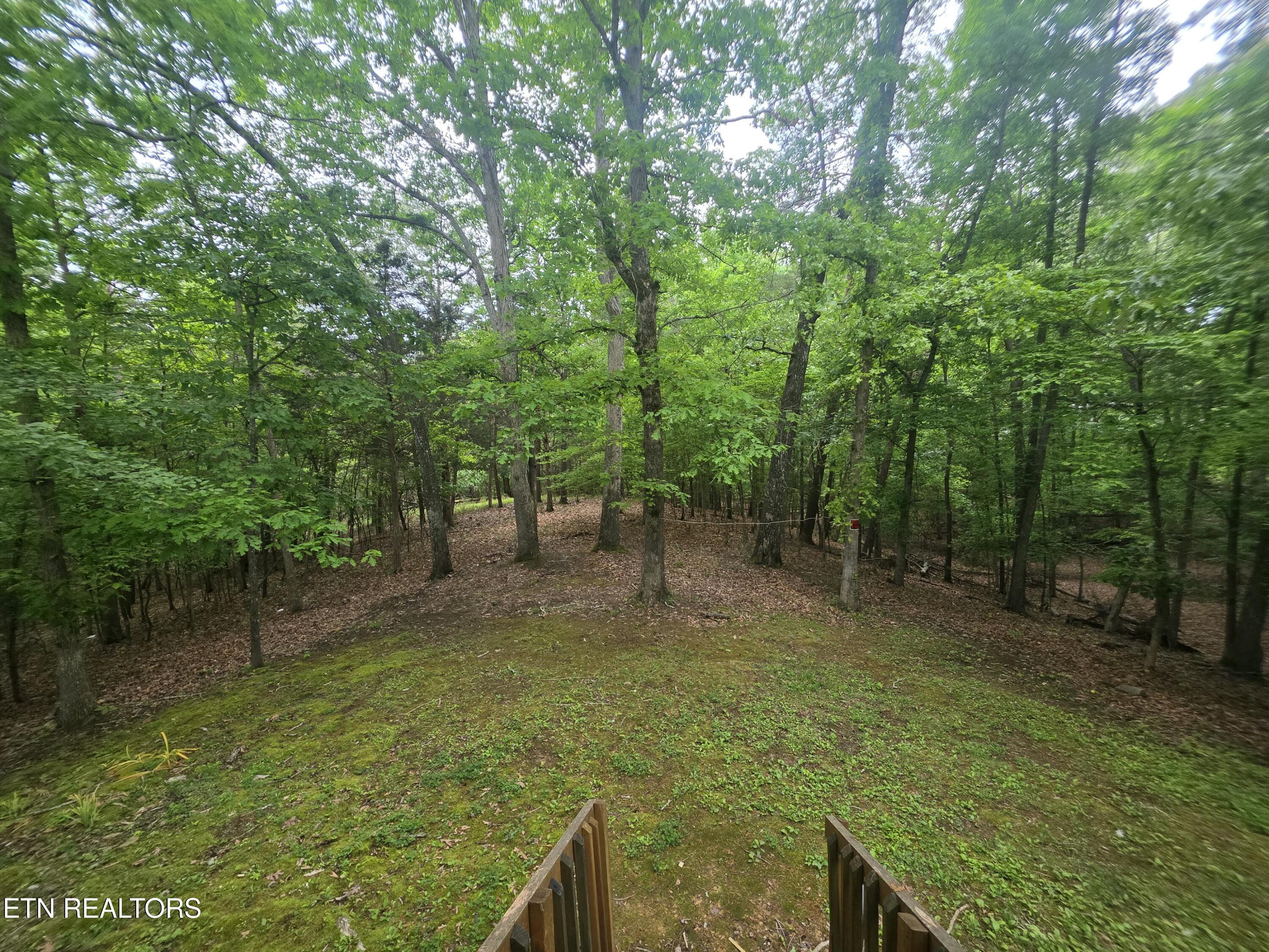 2170 Childress Road Dandridge TN 37725