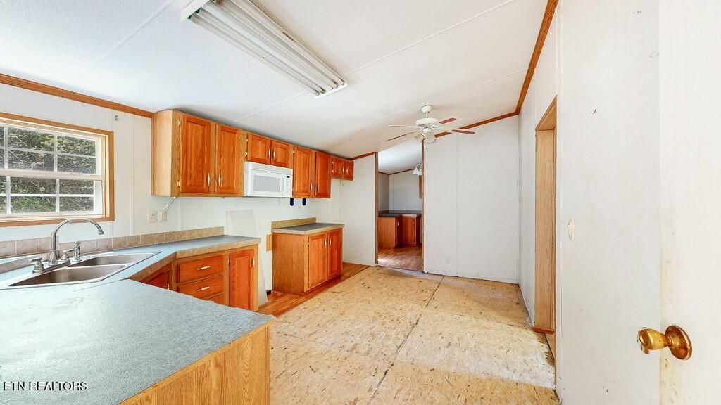 1161 Essary Road Tazewell TN 37879