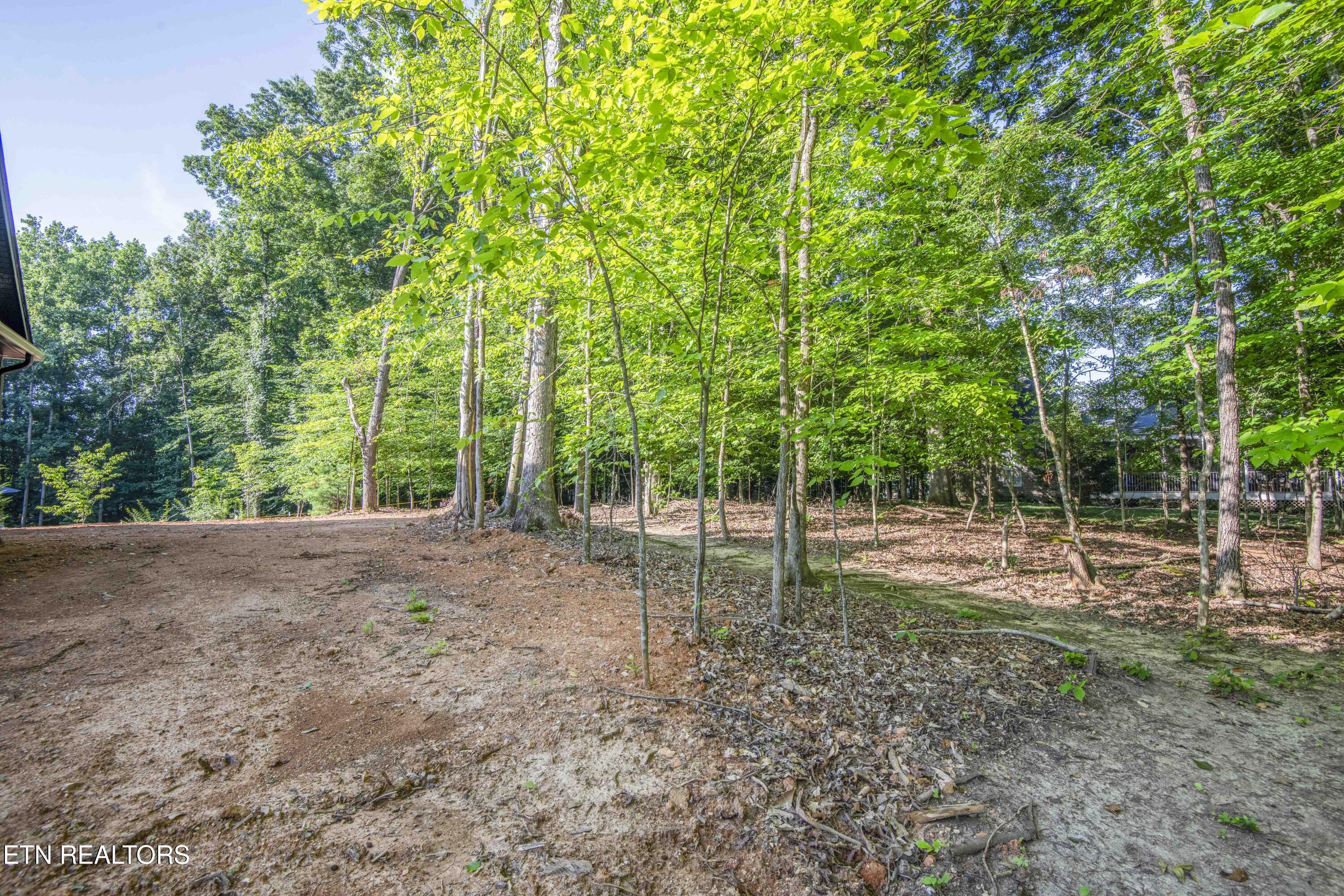 438 Goweli Trail Vonore TN 37885