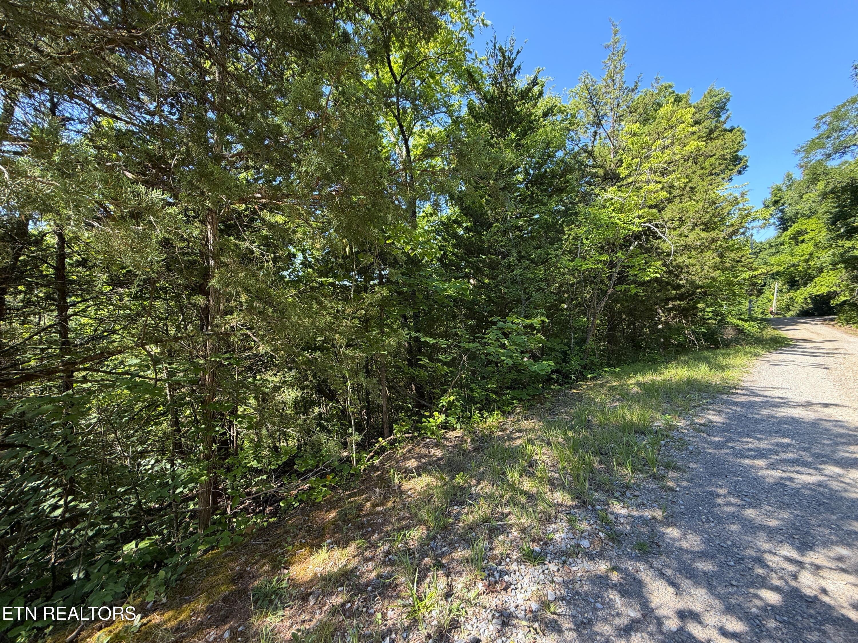 1040 Sturmhaben Way Newport TN 37821