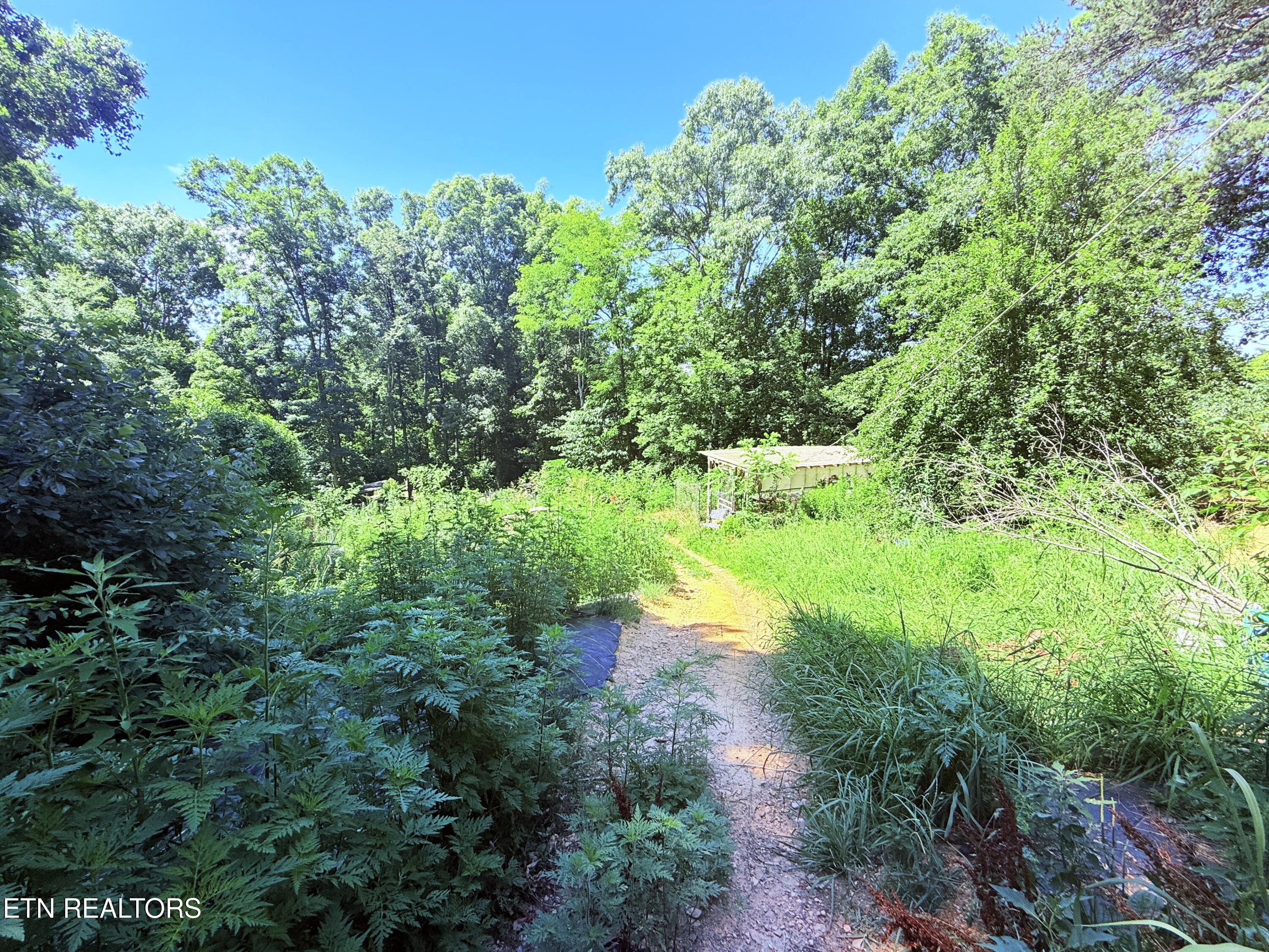 1040 Sturmhaben Way Newport TN 37821