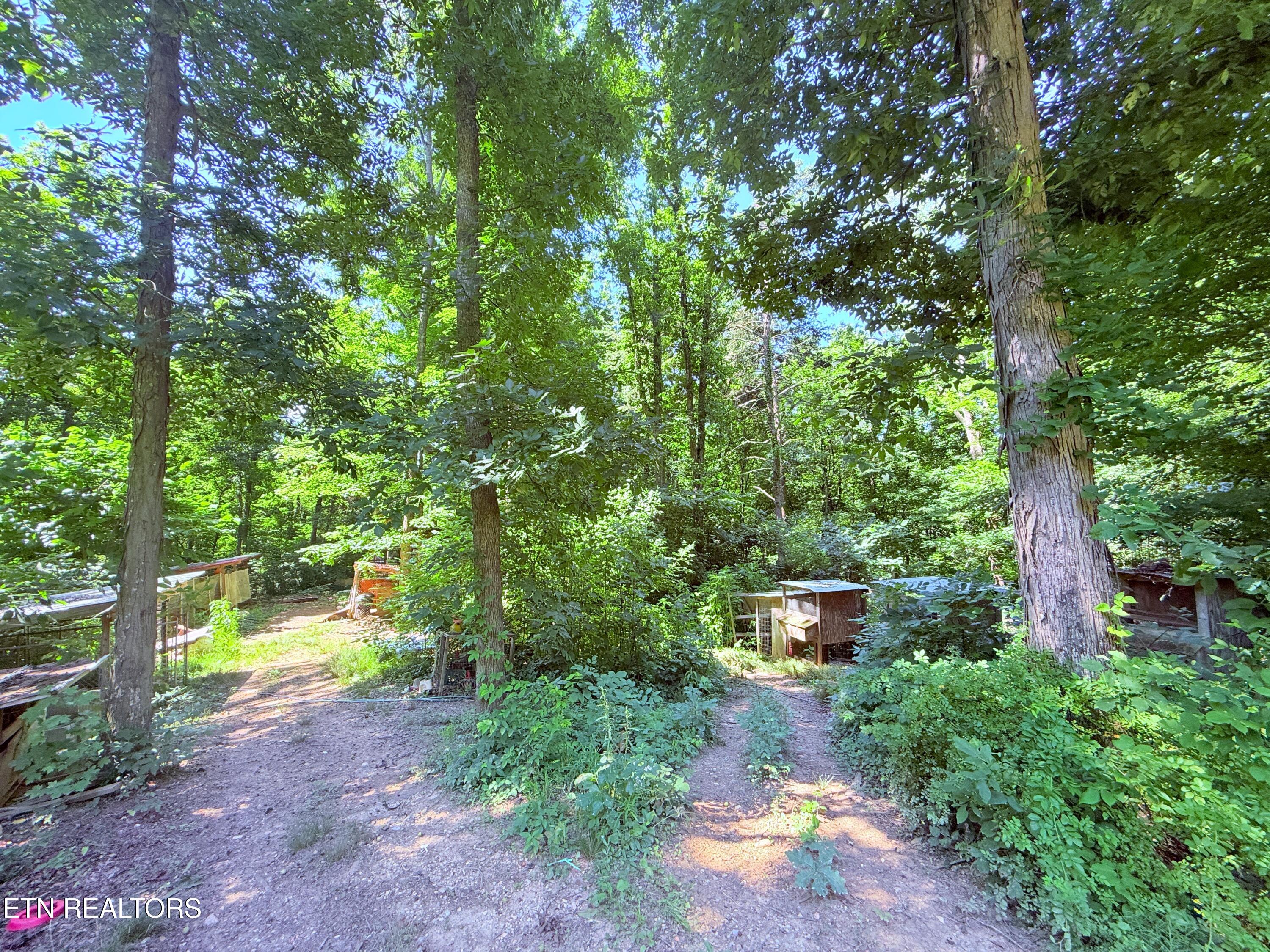 1040 Sturmhaben Way Newport TN 37821