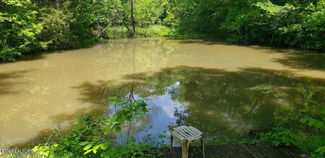 1040 Sturmhaben Way Newport TN 37821