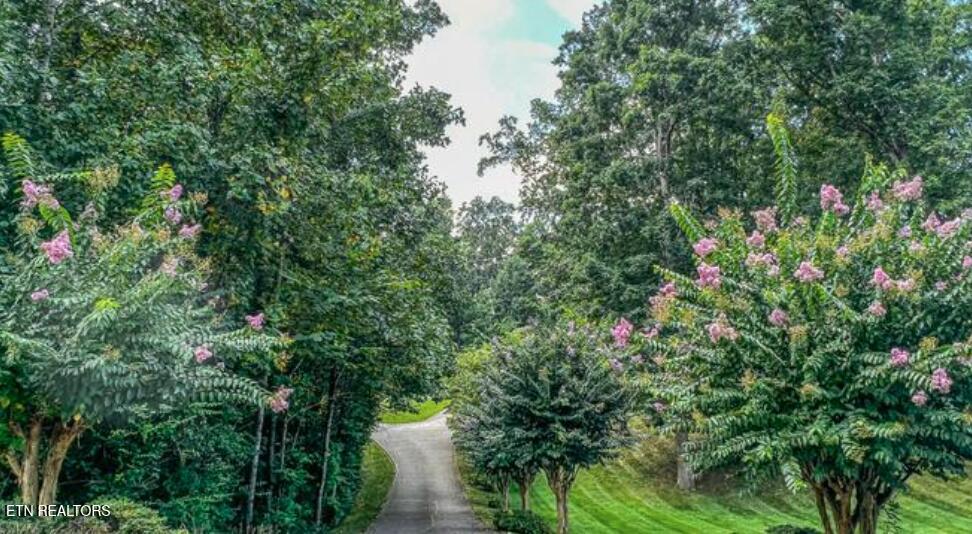 313 Wooded Lane Knoxville TN 37922