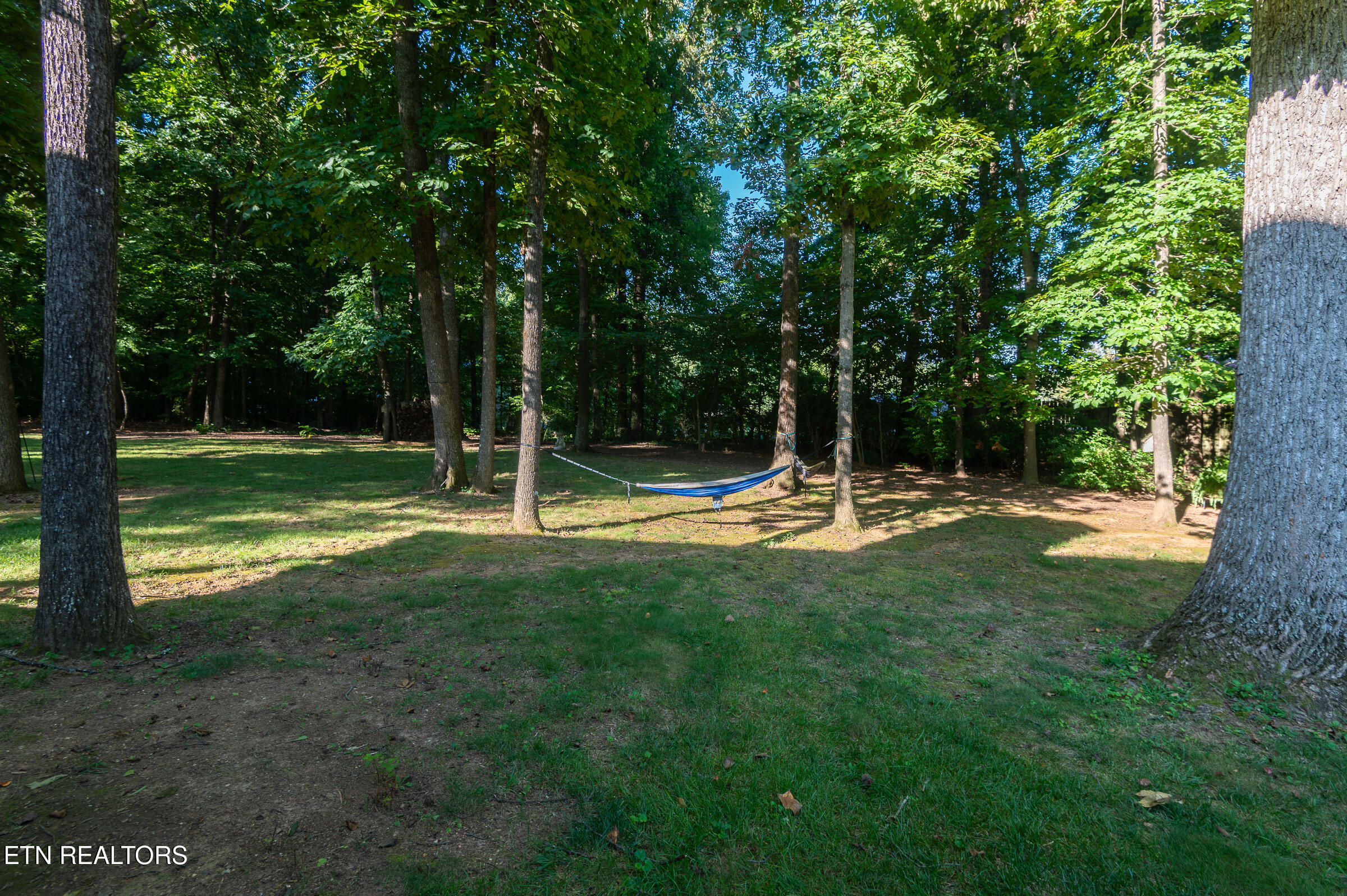 313 Wooded Lane Knoxville TN 37922