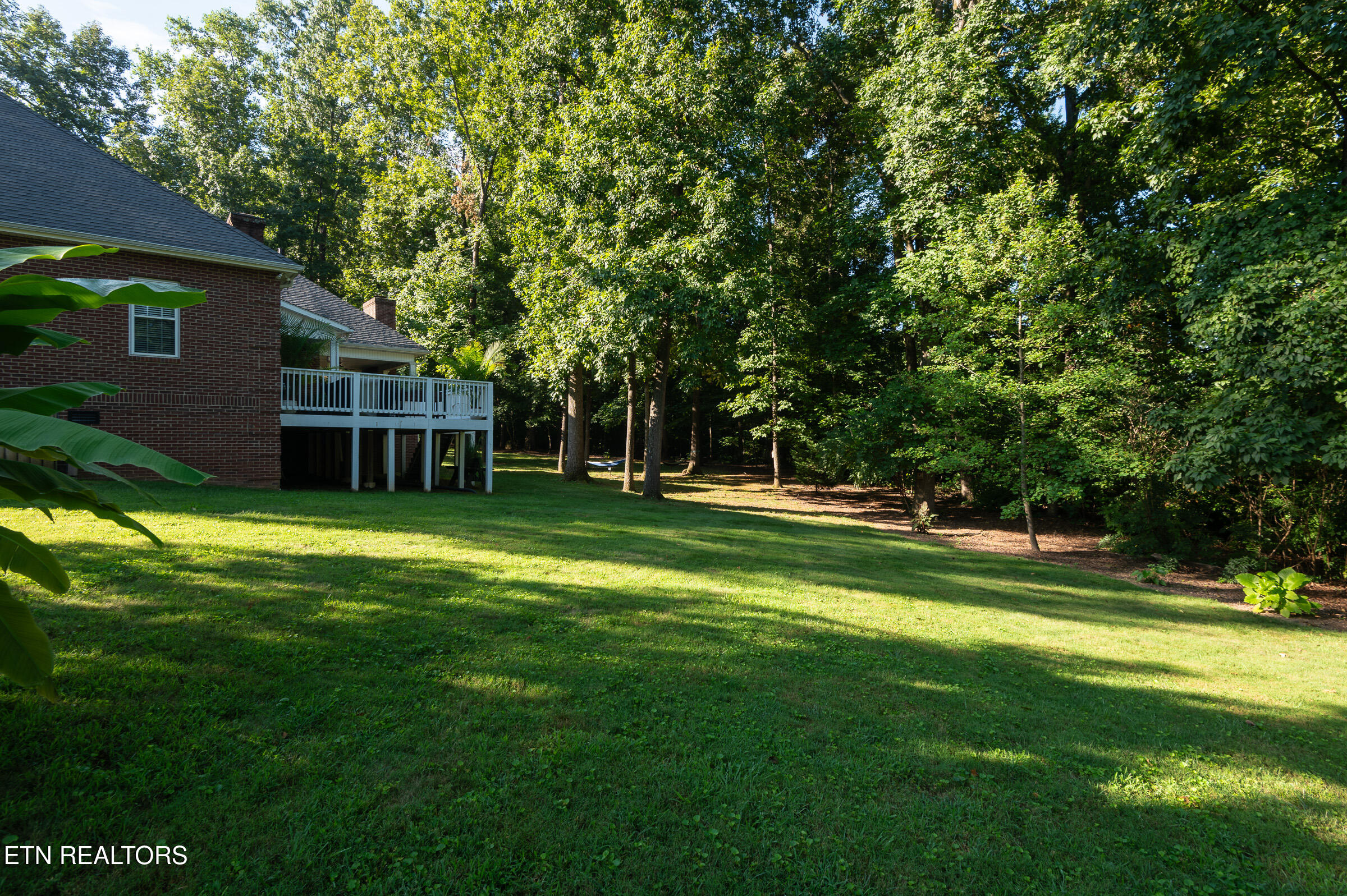 313 Wooded Lane Knoxville TN 37922