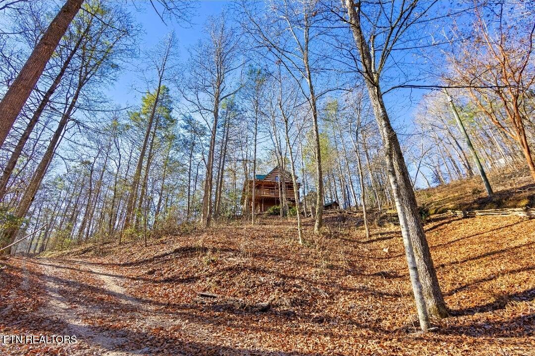 2845 Grassy Branch Road Sevierville TN 37876