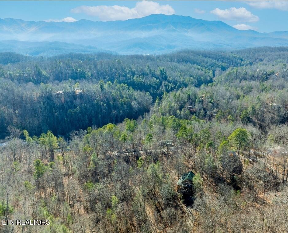 2845 Grassy Branch Road Sevierville TN 37876