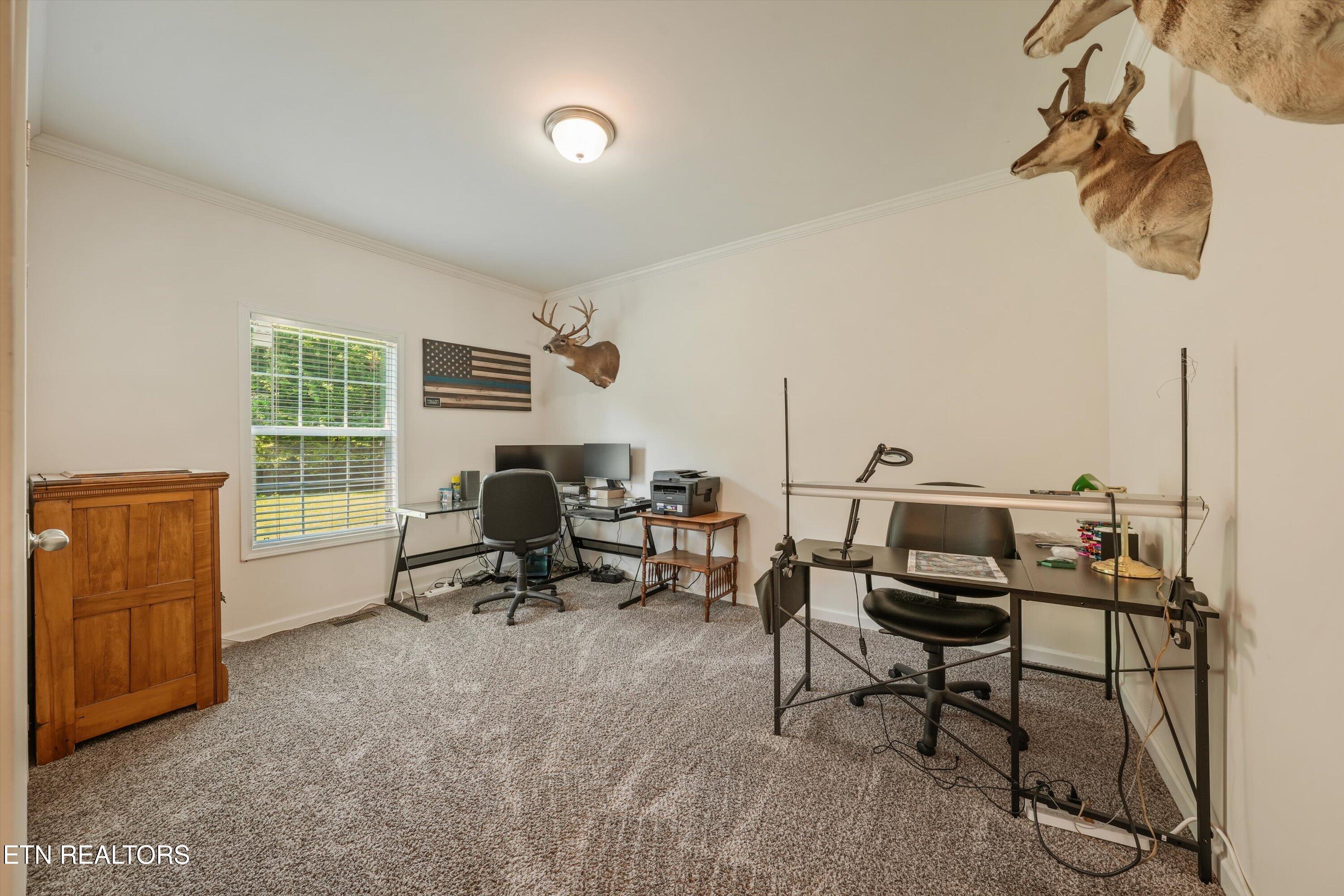 2974 Stoney Gap Road Sneedville TN 37869