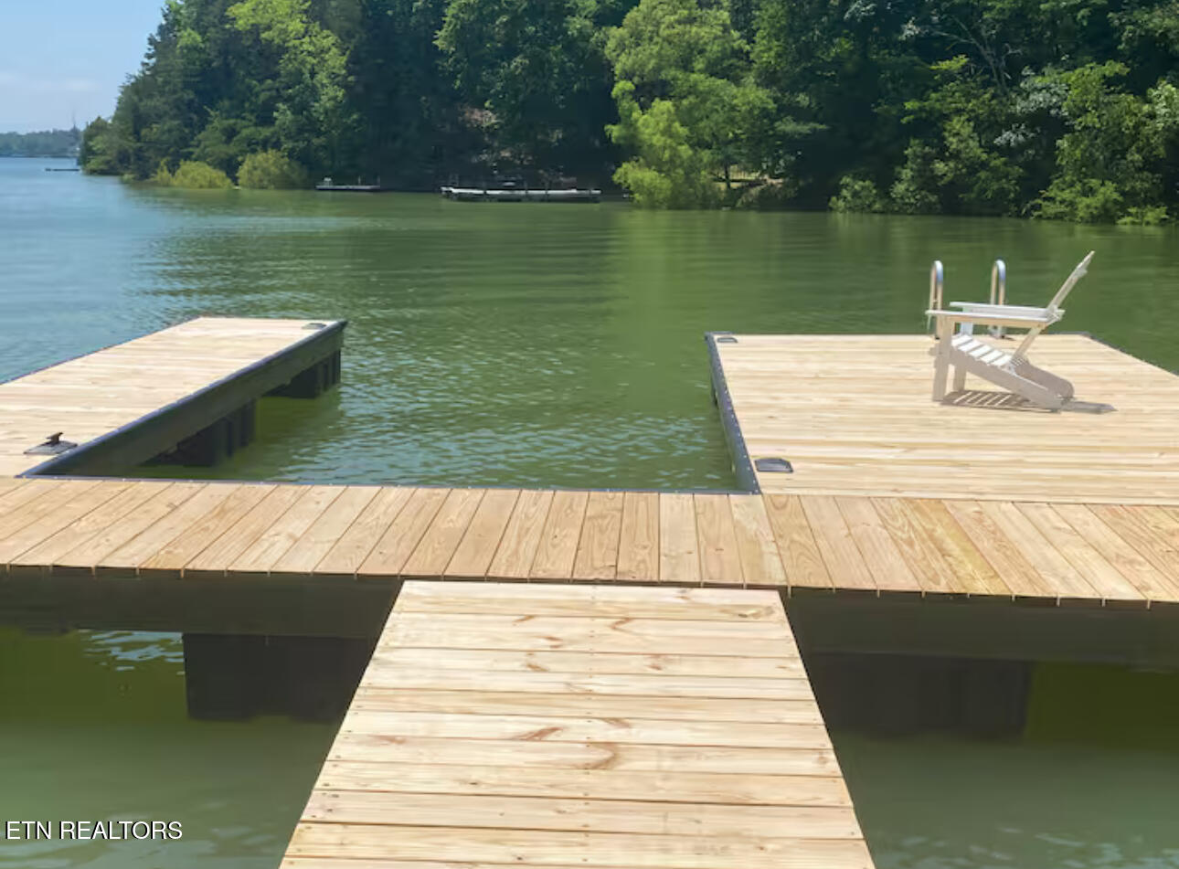 1448 Dover Lane Dandridge TN 37725