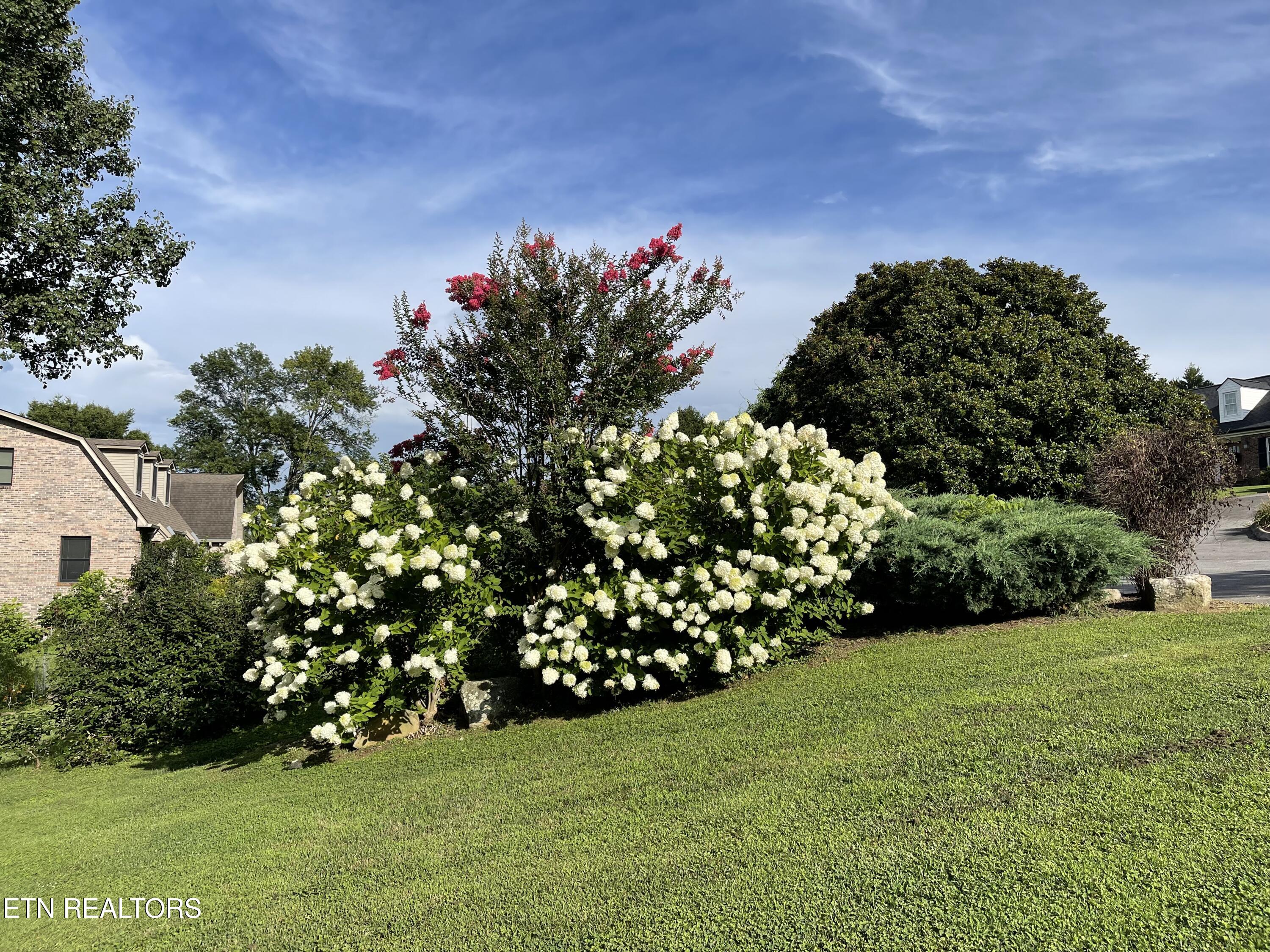 103 Farmington Place Clinton TN 37716