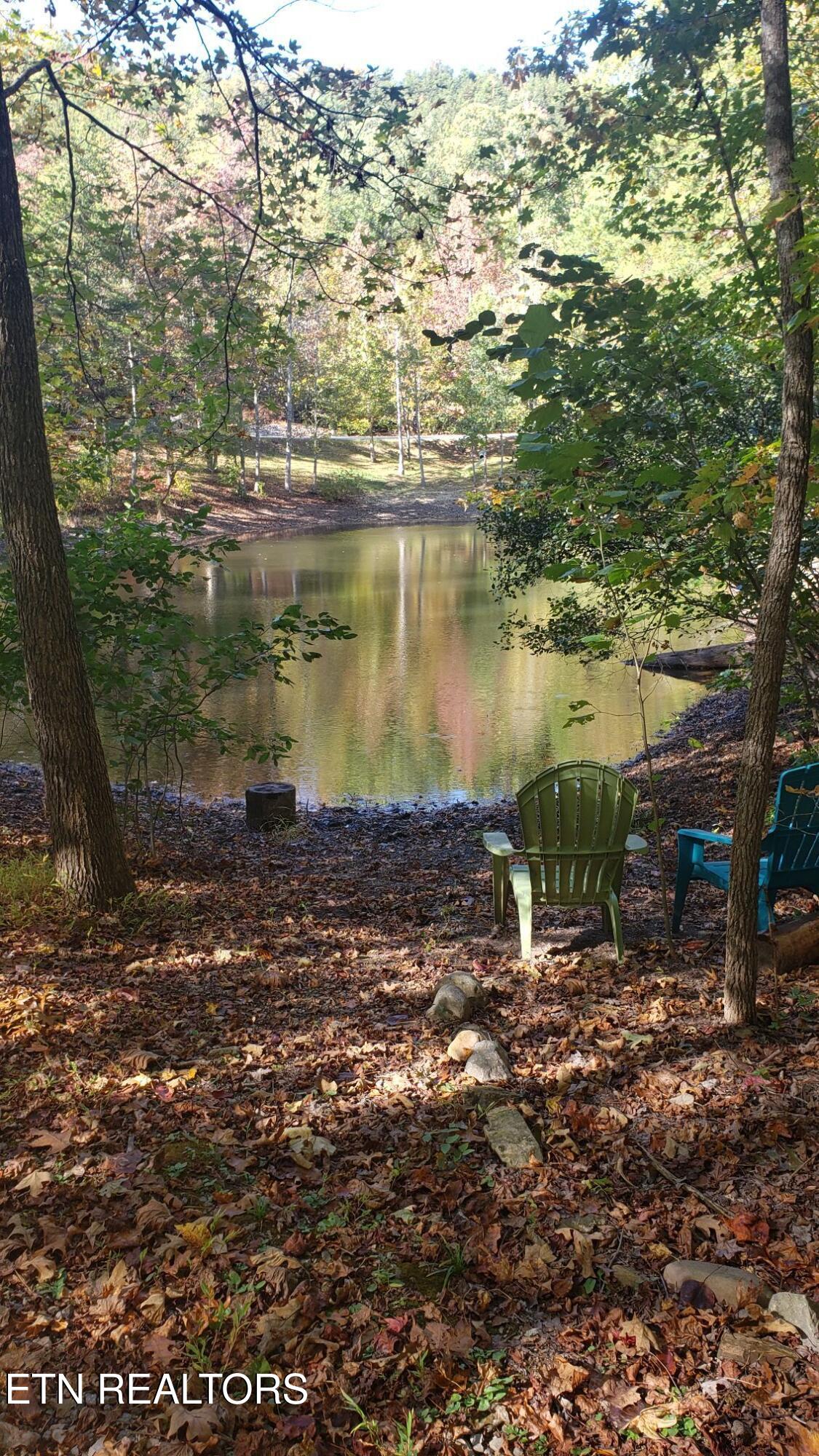 1029 Smithfield Road Tellico Plains TN 37385