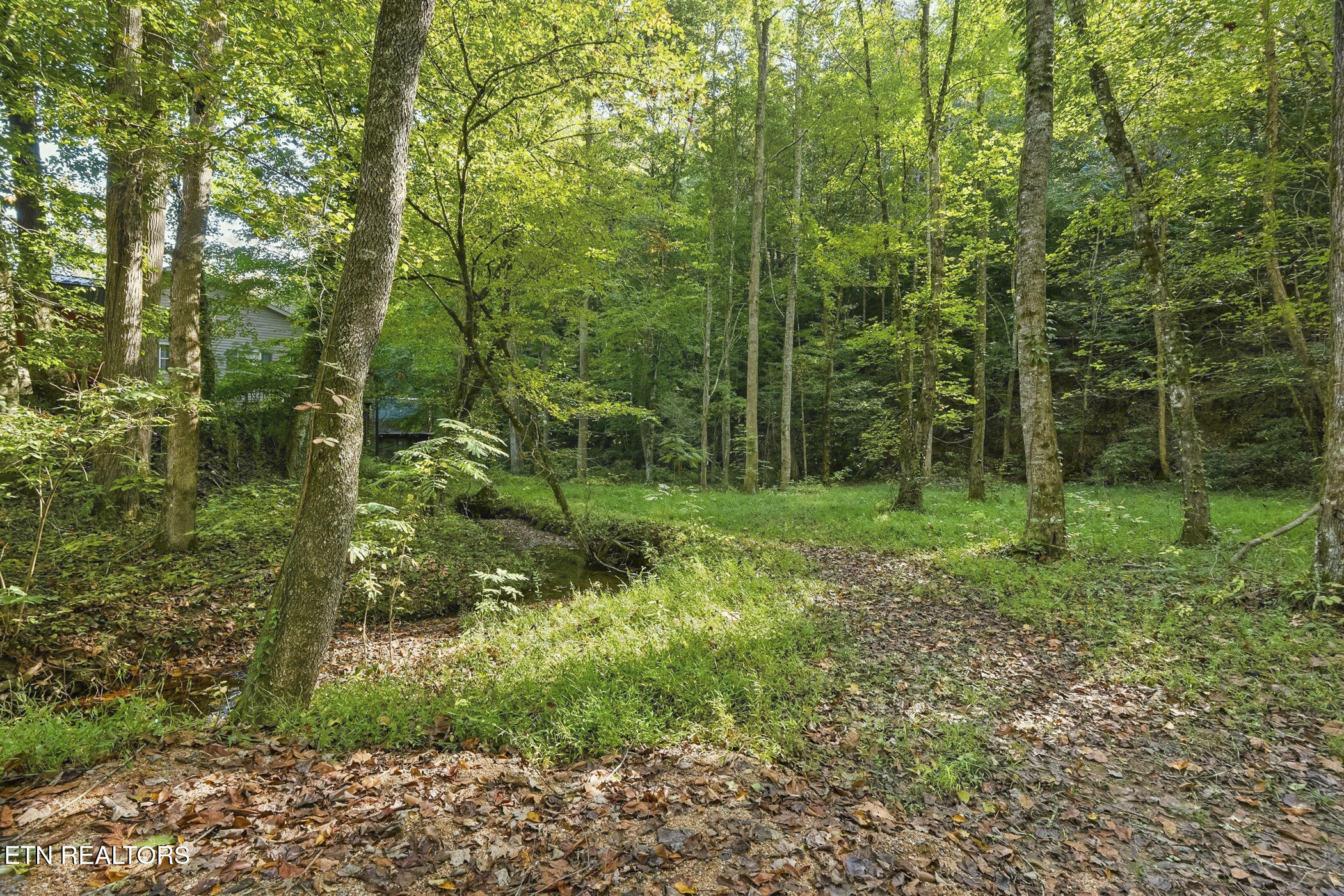 1540 Licking Spring Way Sevierville TN 37876