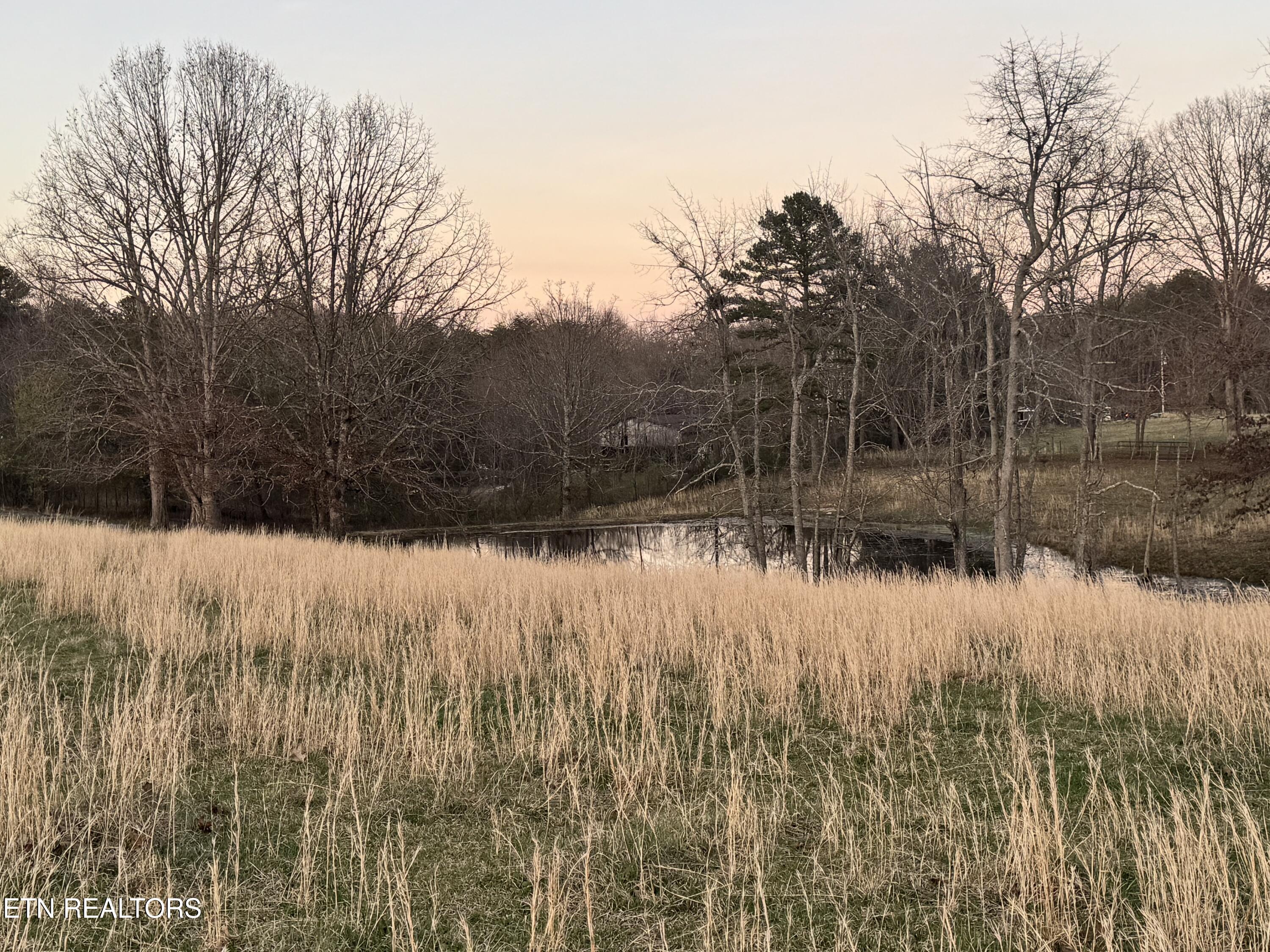 5519 S York Highway Grimsley TN 38565
