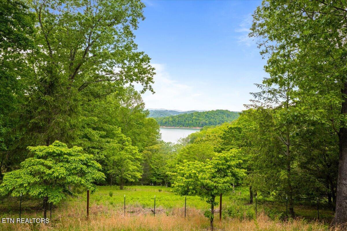1186 Deerfield Way Lafollette TN 37766