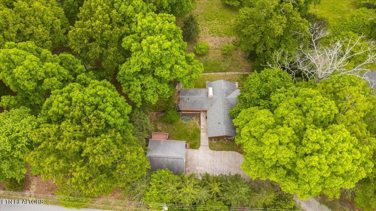 1186 Deerfield Way Lafollette TN 37766