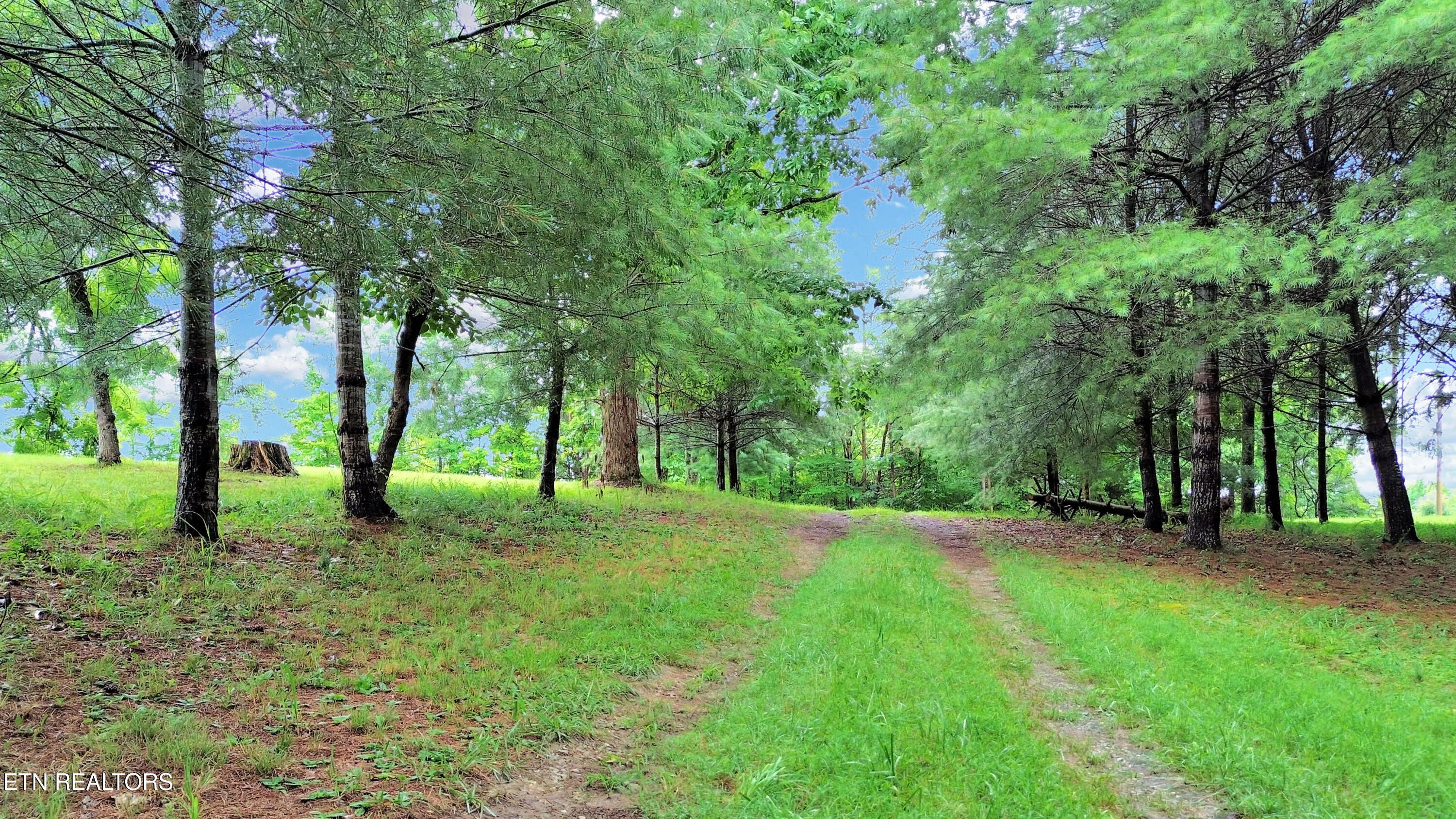 865 Ewing Road Spring City TN 37381