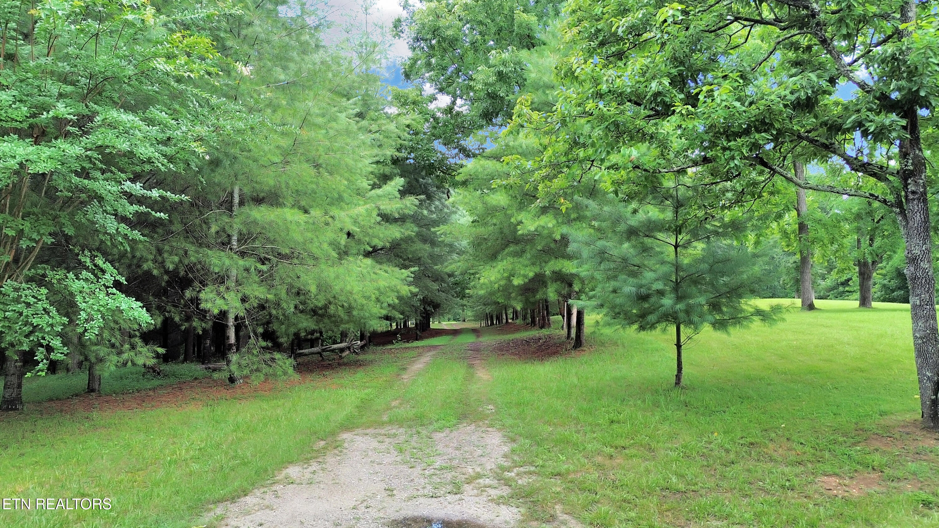865 Ewing Road Spring City TN 37381