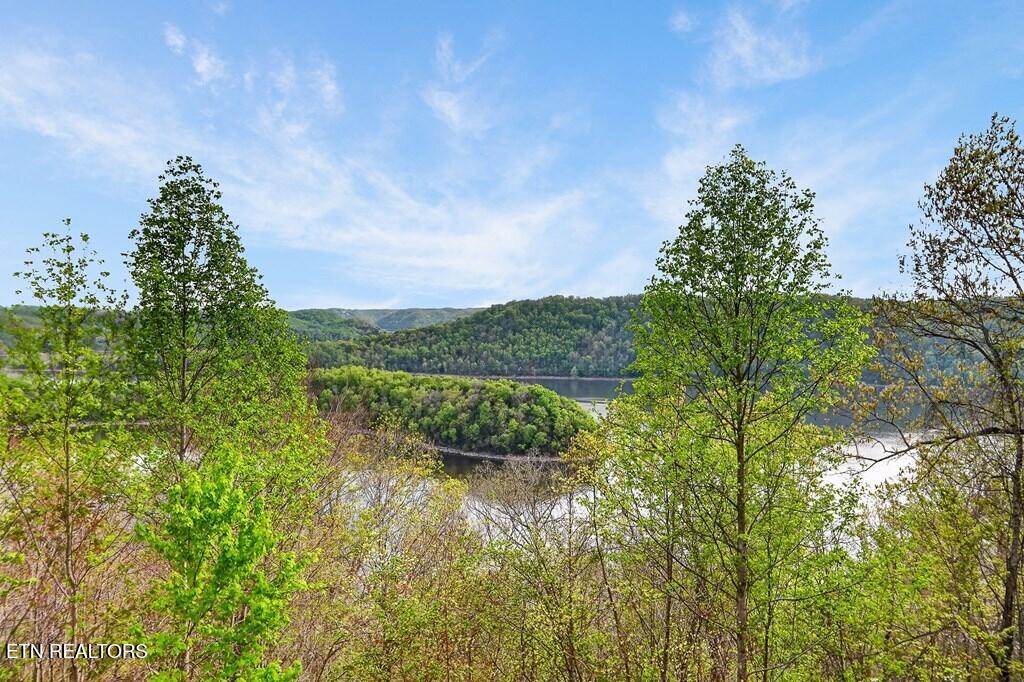 1853 Lafever Ridge Road Silver Point TN 38582