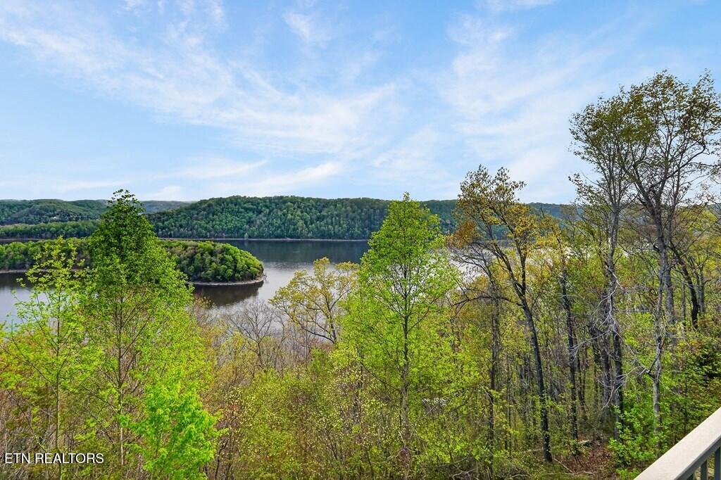 1853 Lafever Ridge Road Silver Point TN 38582