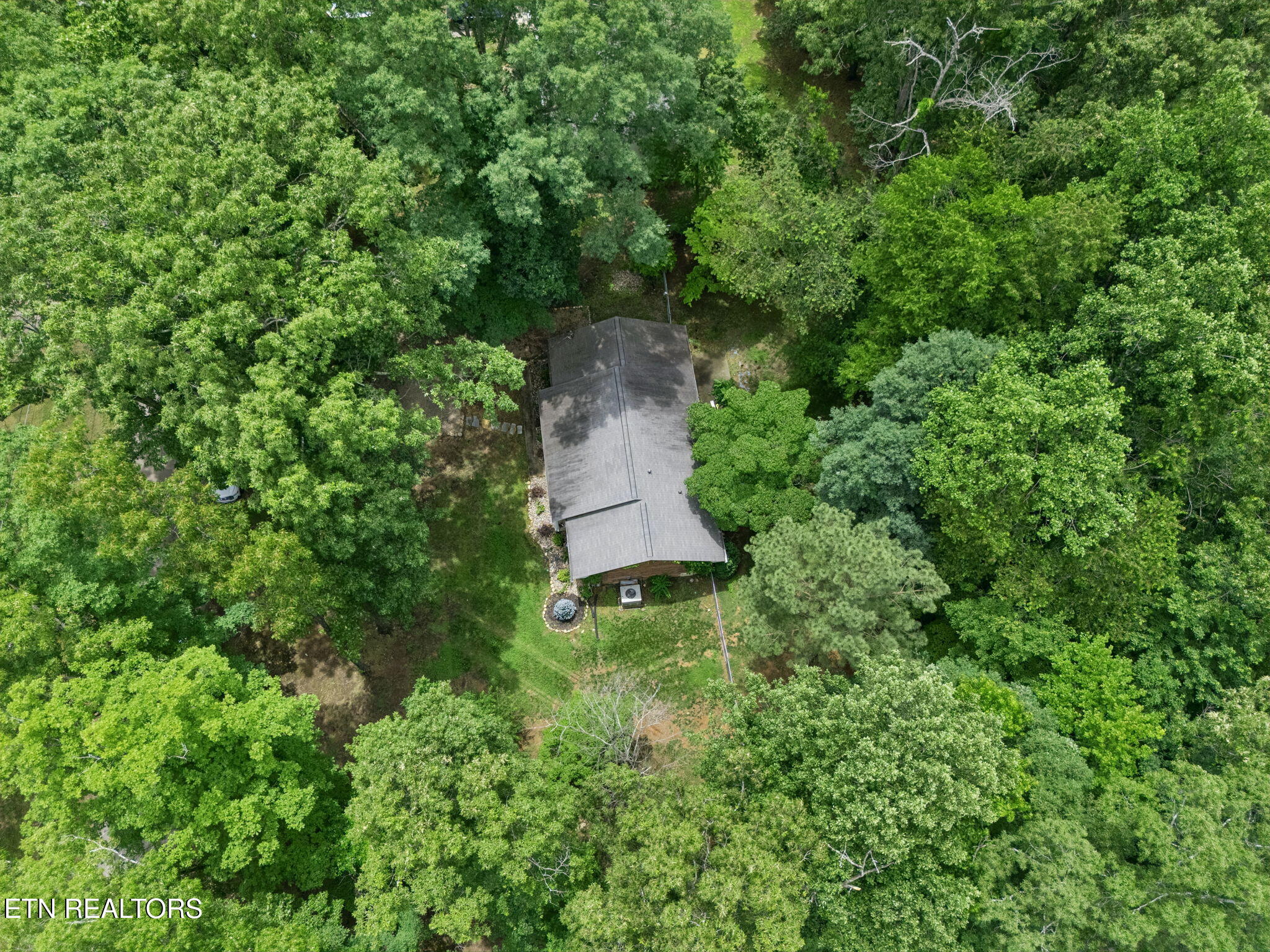 1036 Forest Heights Circle Lenoir City TN 37772