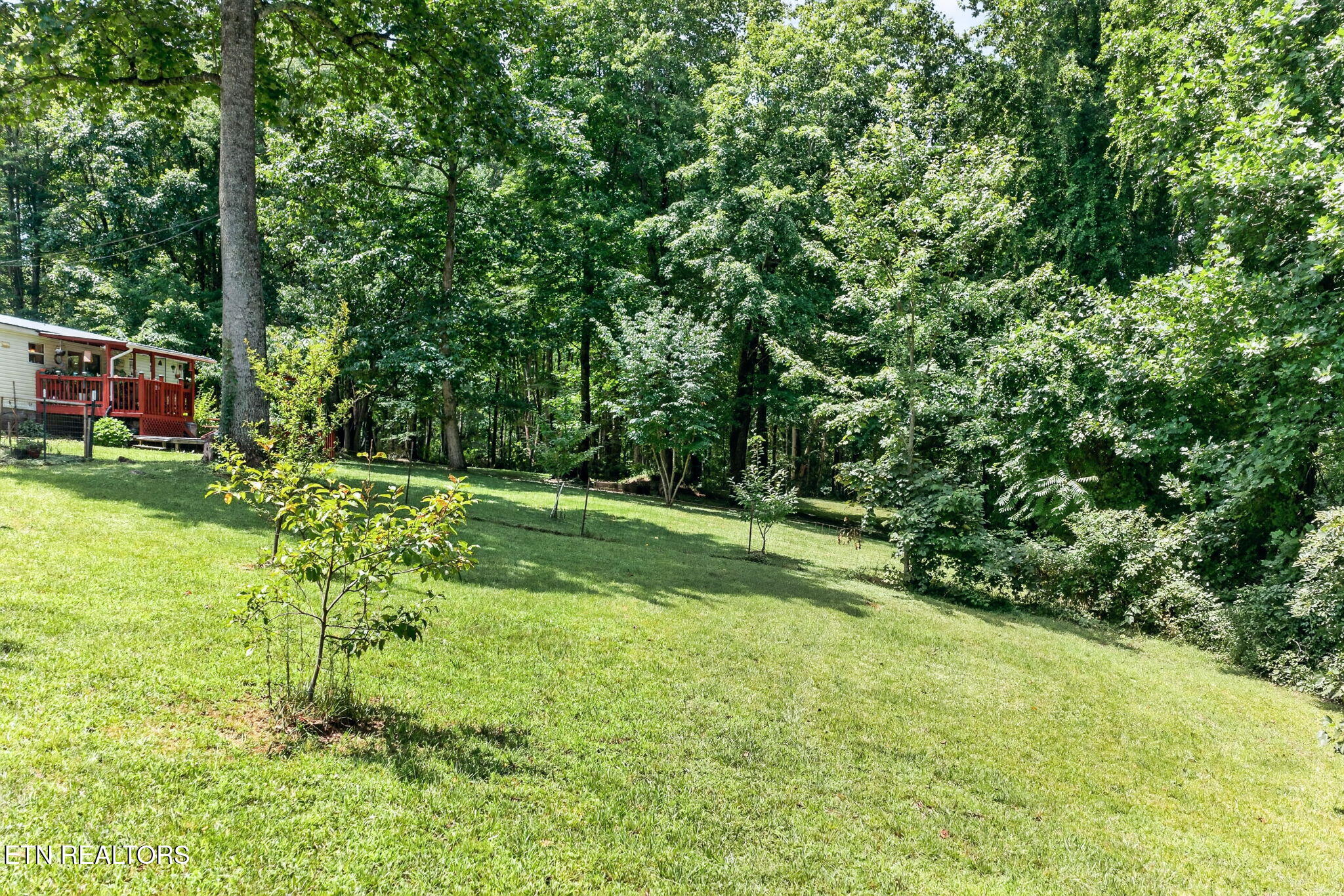 226 Westwood Boulevard Crossville TN 38571