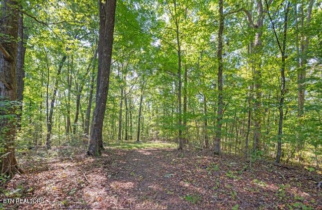 431 Black Oak Road Clinton TN 37716