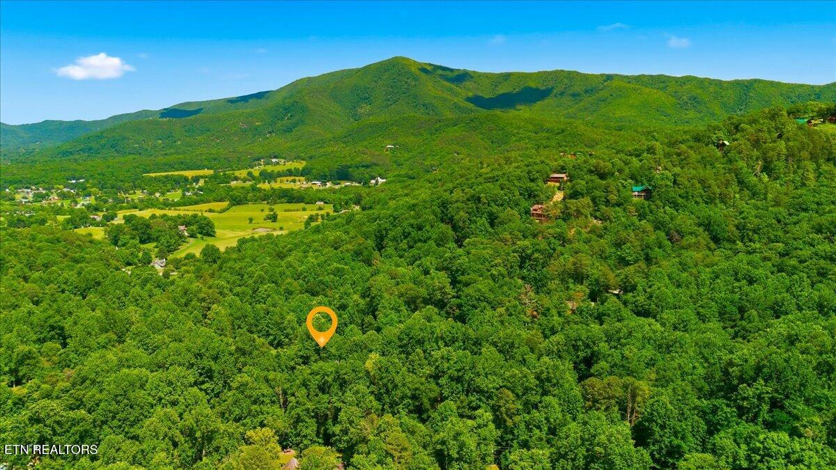 3961 Ole Smoky Way Sevierville TN 37862