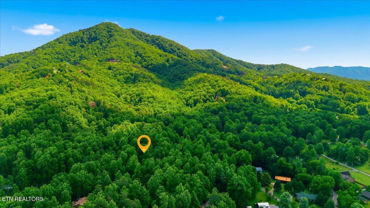 3961 Ole Smoky Way Sevierville TN 37862