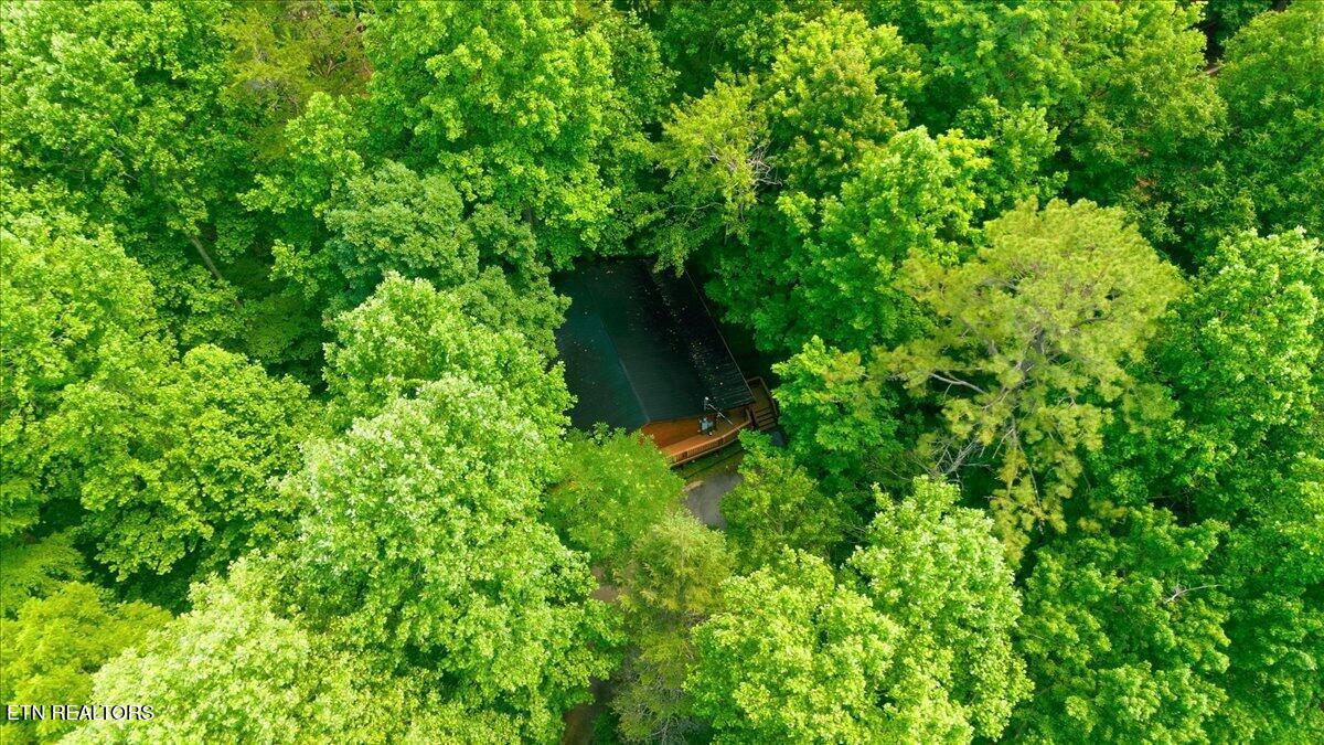 3961 Ole Smoky Way Sevierville TN 37862