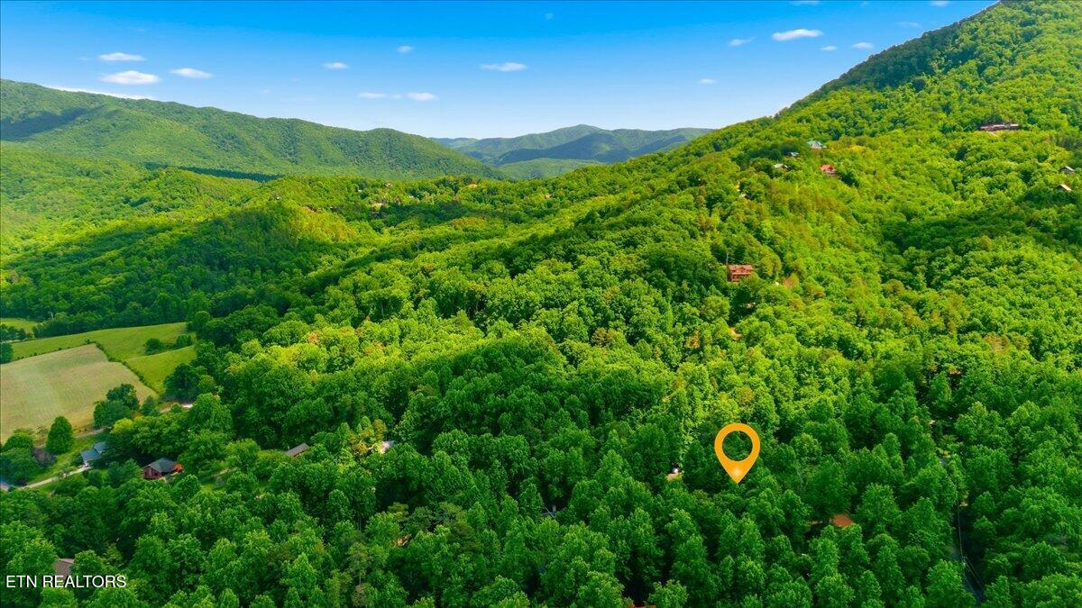 3961 Ole Smoky Way Sevierville TN 37862