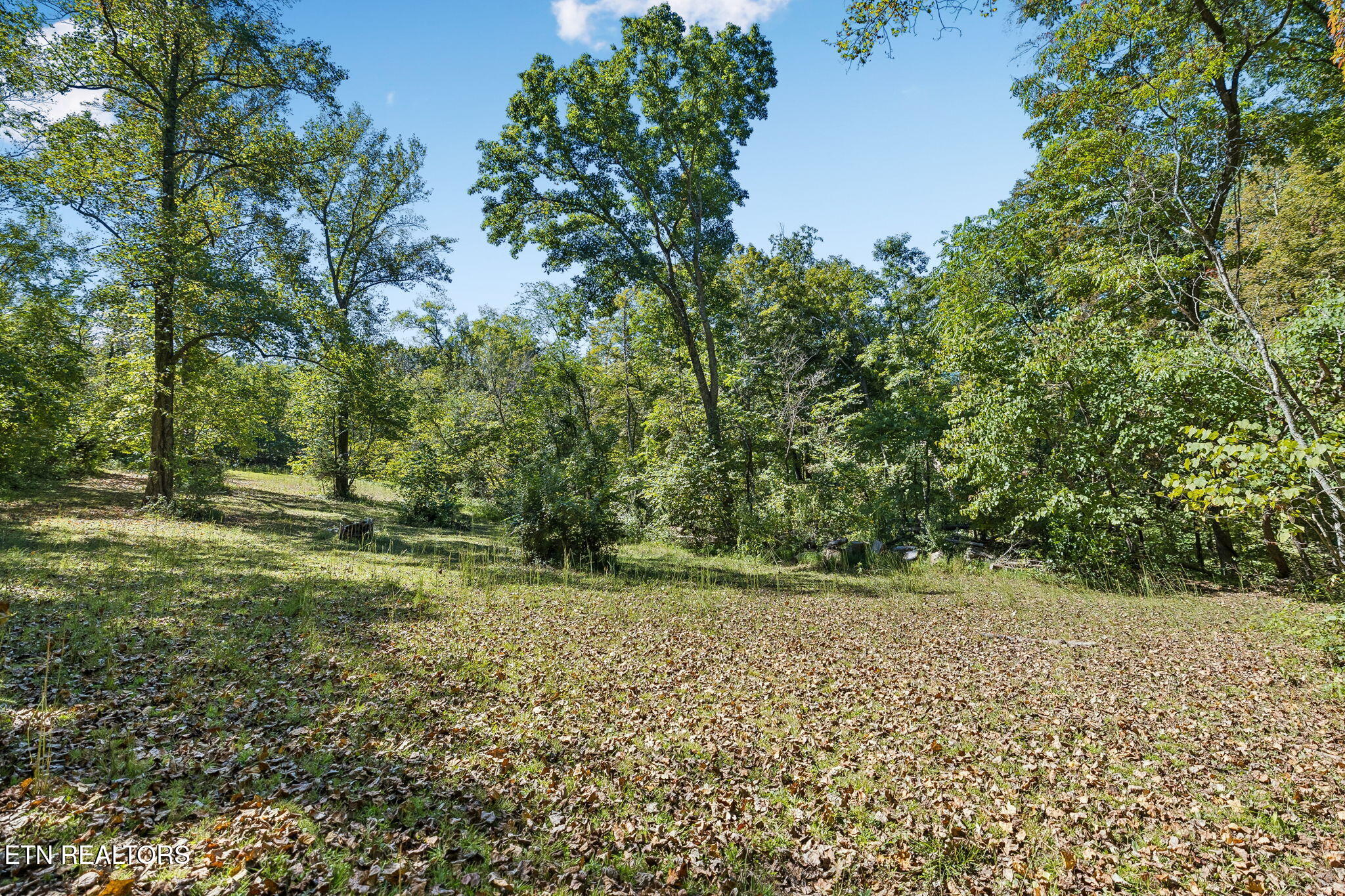1813 Oak Grove Road Rocky Top TN 37769