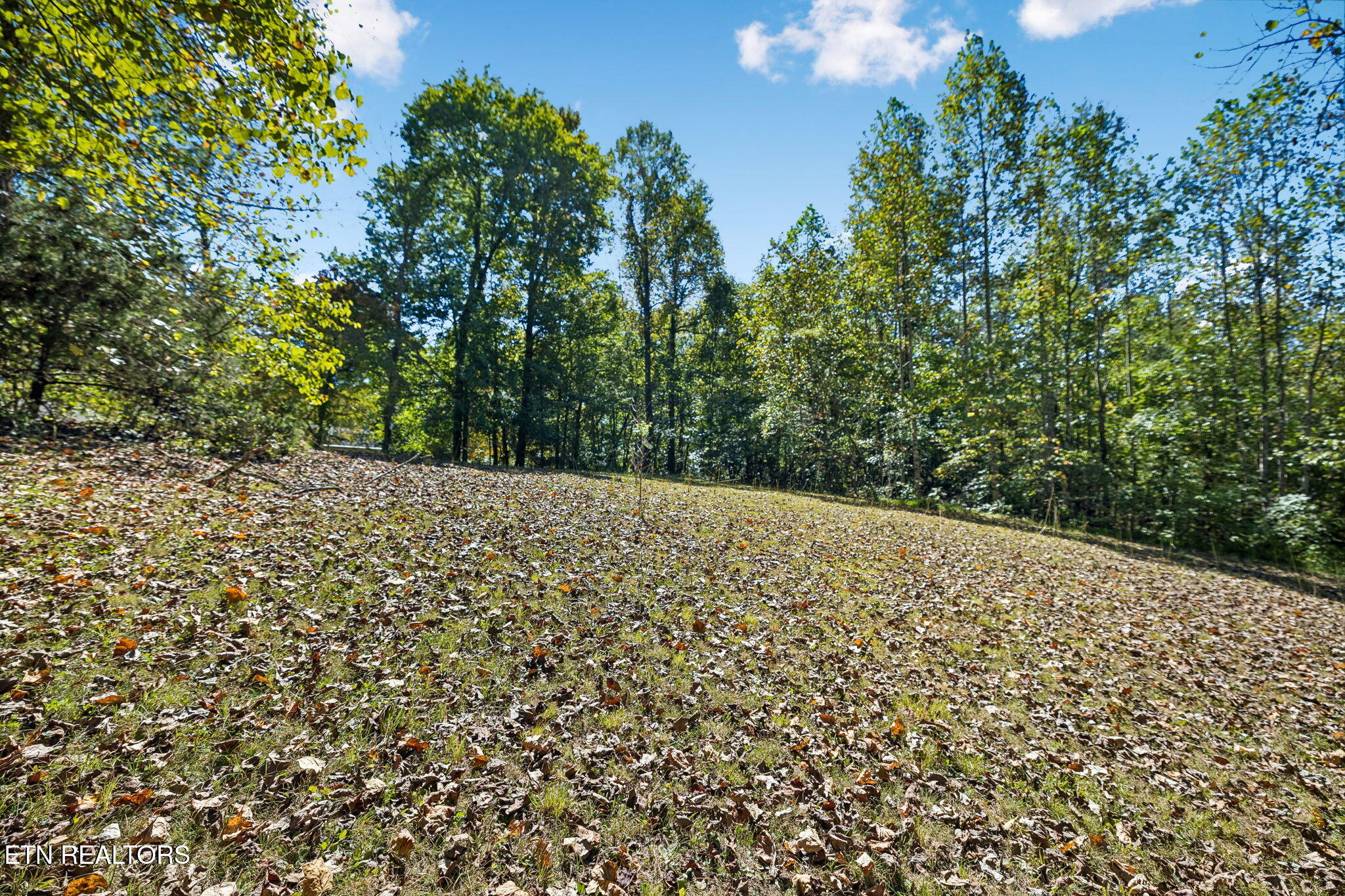 1813 Oak Grove Road Rocky Top TN 37769