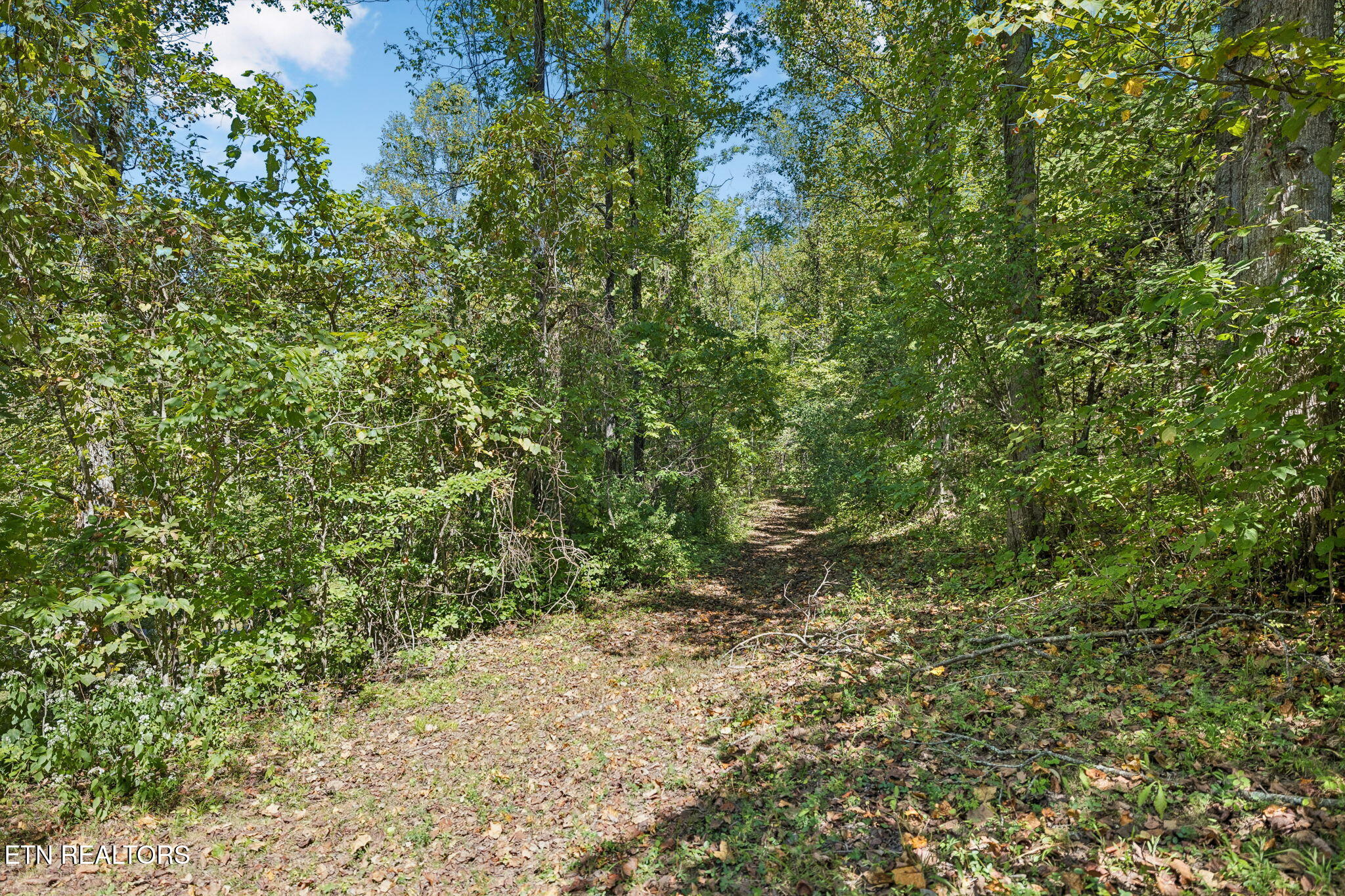 1813 Oak Grove Road Rocky Top TN 37769