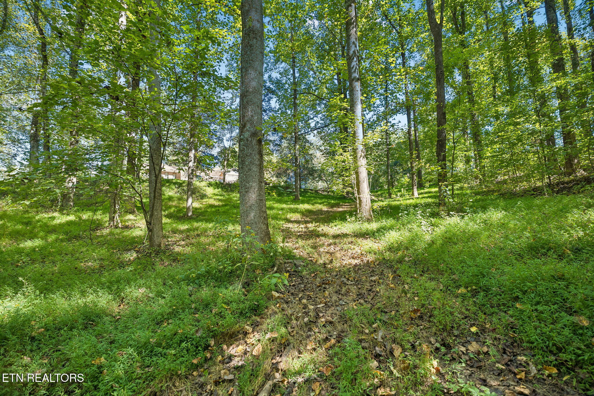 1813 Oak Grove Road Rocky Top TN 37769