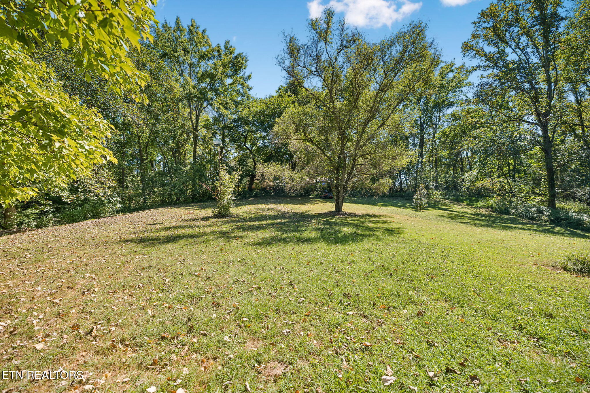 1813 Oak Grove Road Rocky Top TN 37769