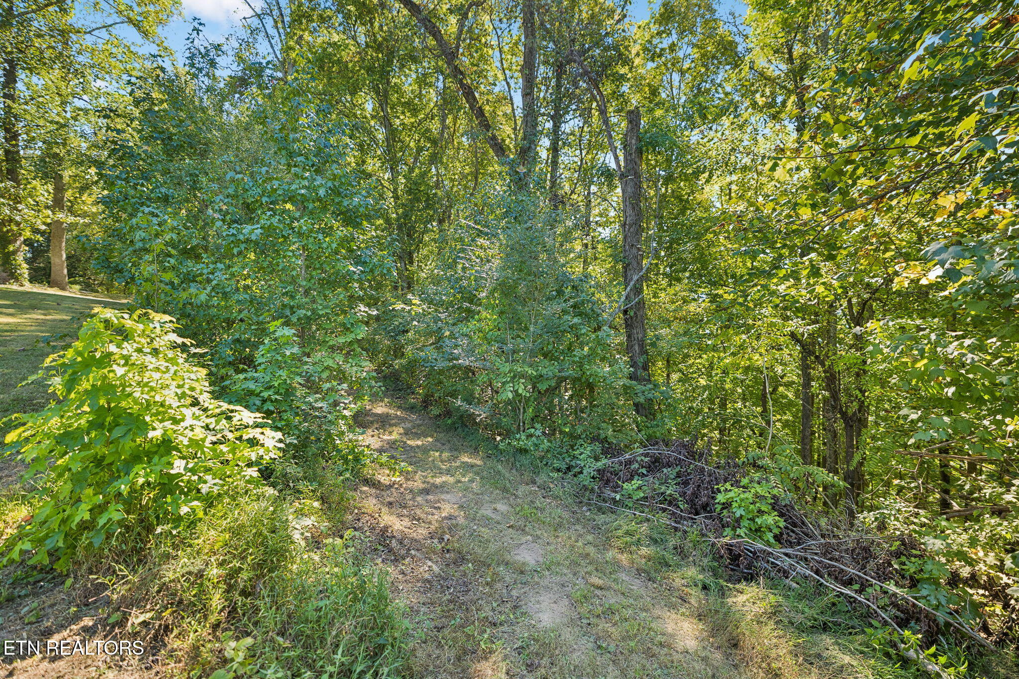 1813 Oak Grove Road Rocky Top TN 37769