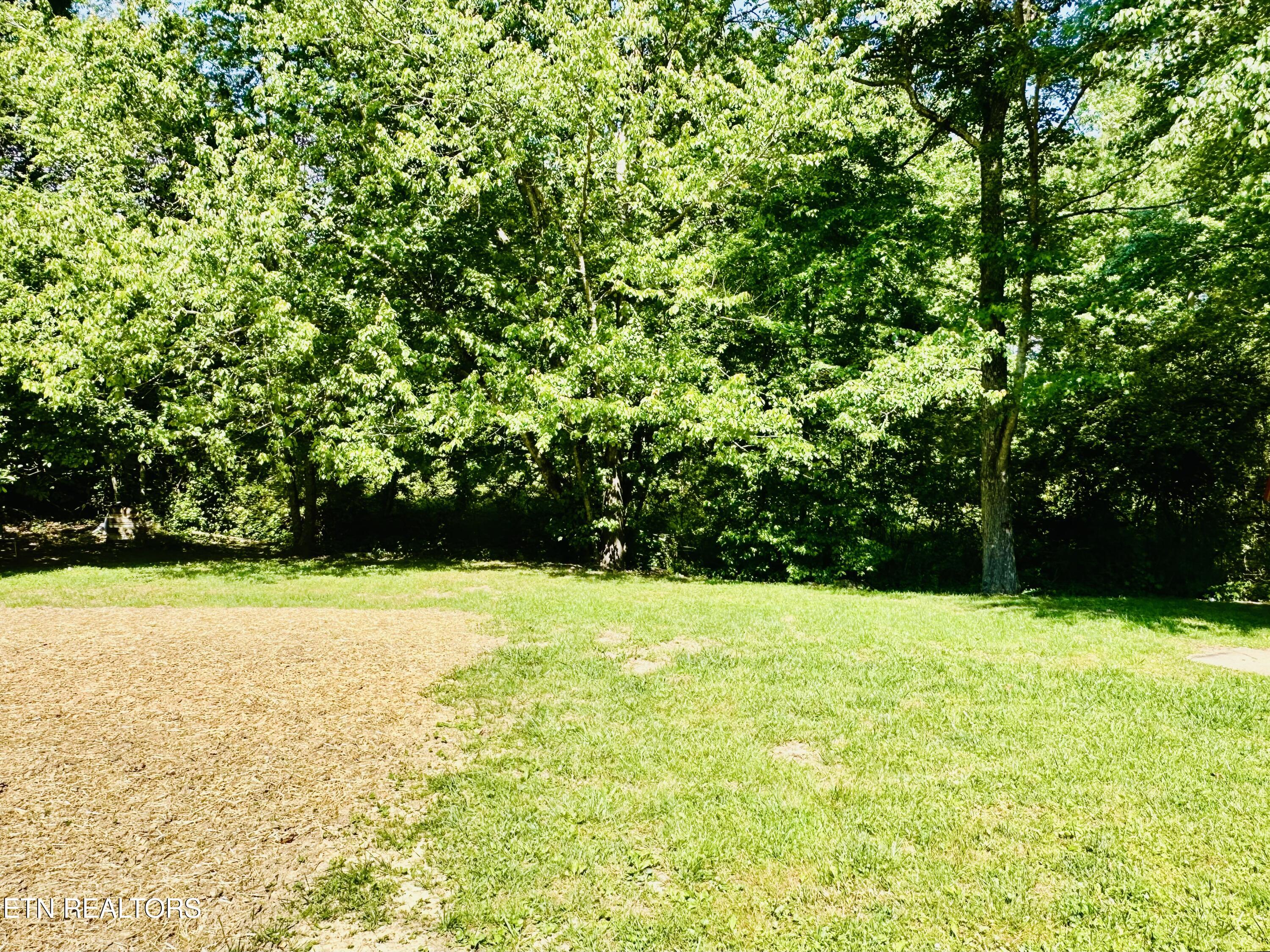 117 Coon Hunters Road Wartburg TN 37887