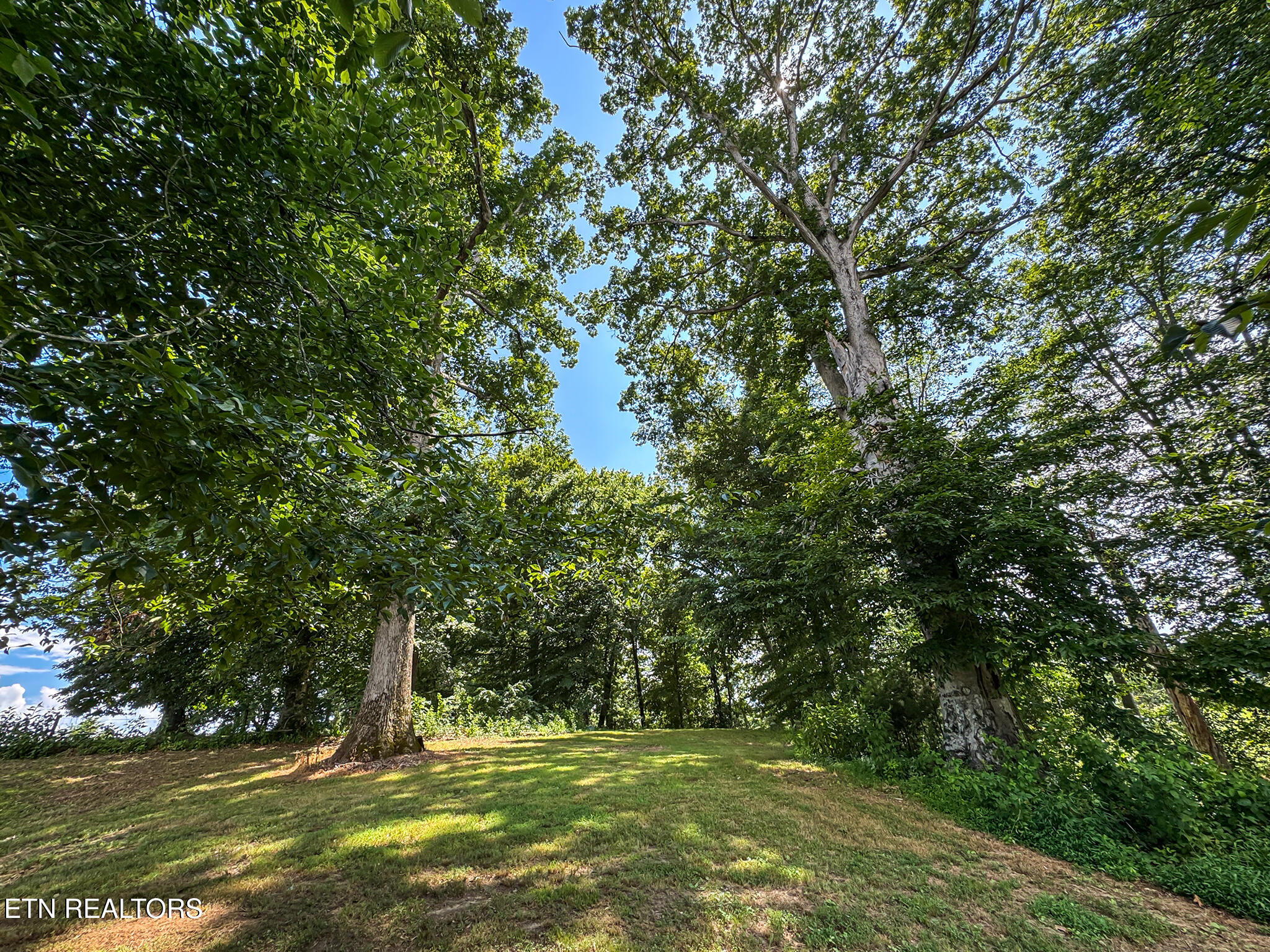 1519 Indian Warpath Road Sevierville TN 37876
