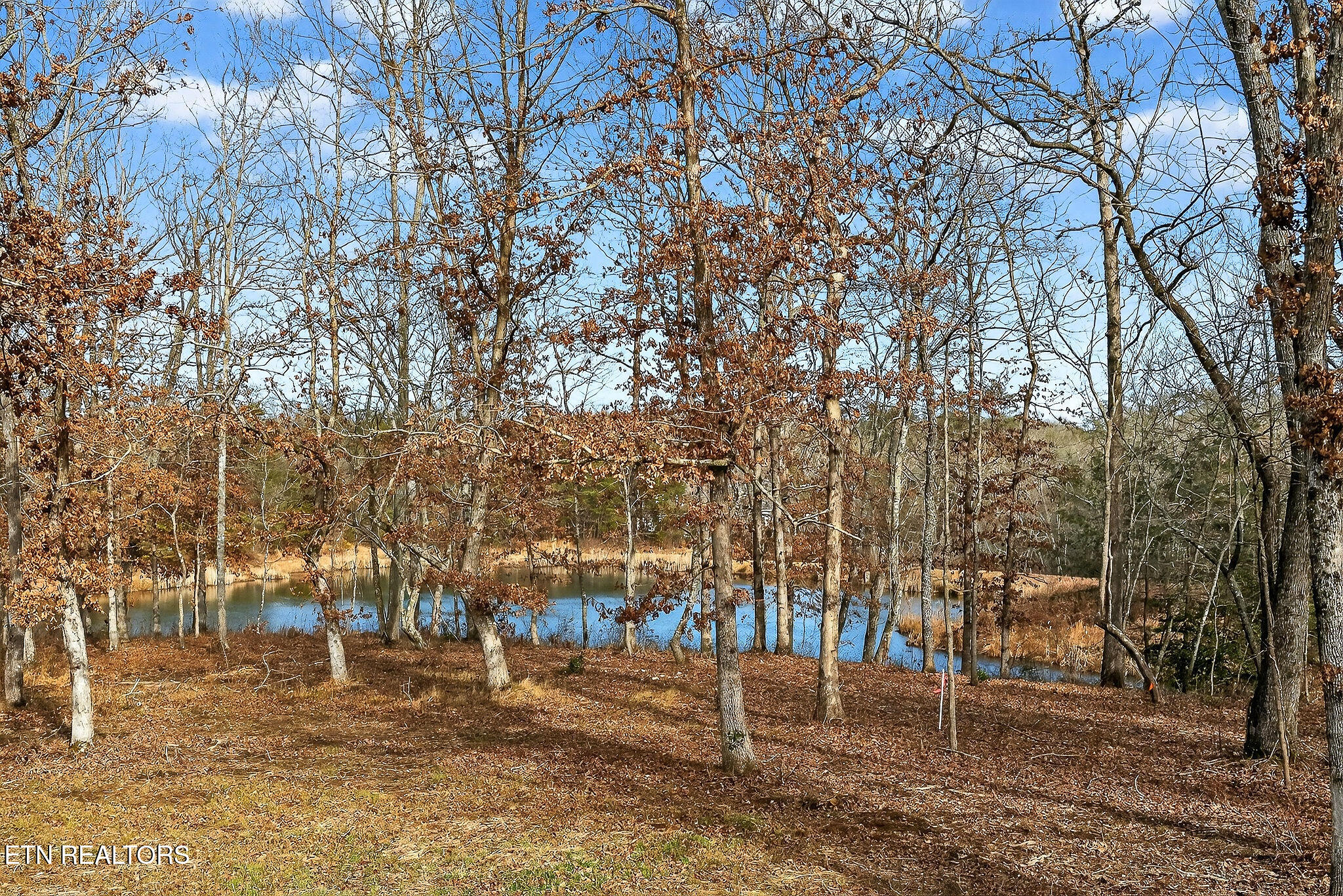 74 Riverchase Drive Crossville TN 38571